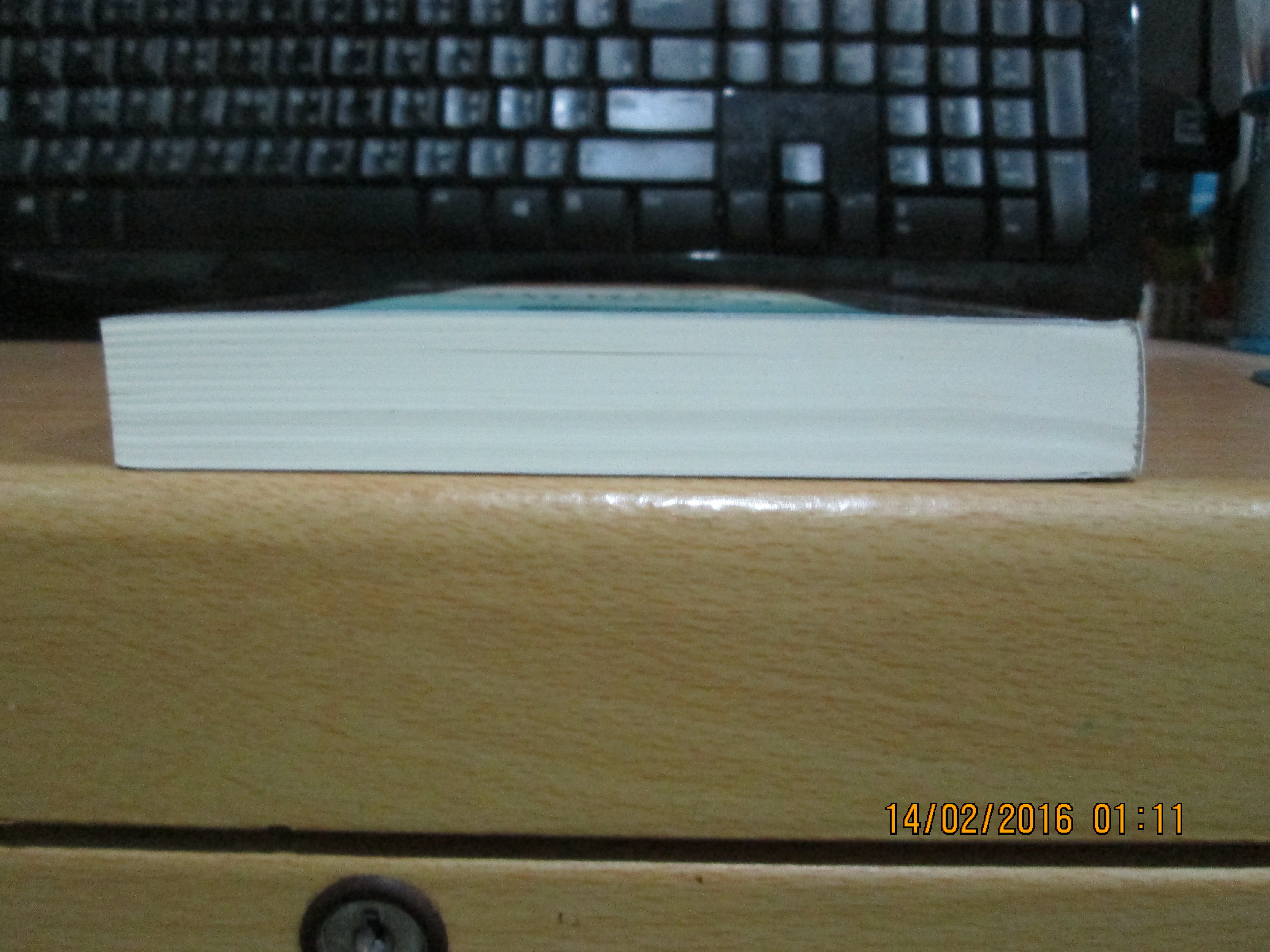 เสน่ห์นางอ้วน