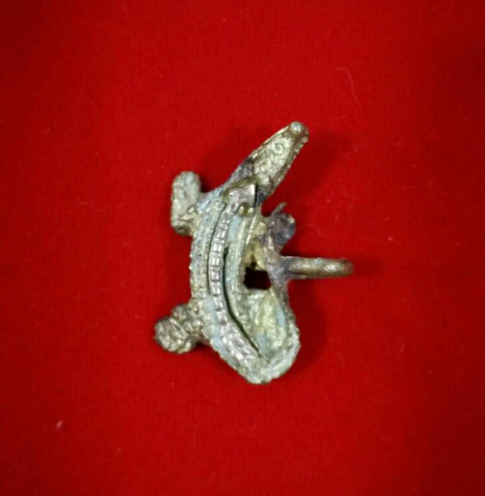 จระเข้จันทร์เพ็ญ ลพ.สนิท วัดลำบัวลอย