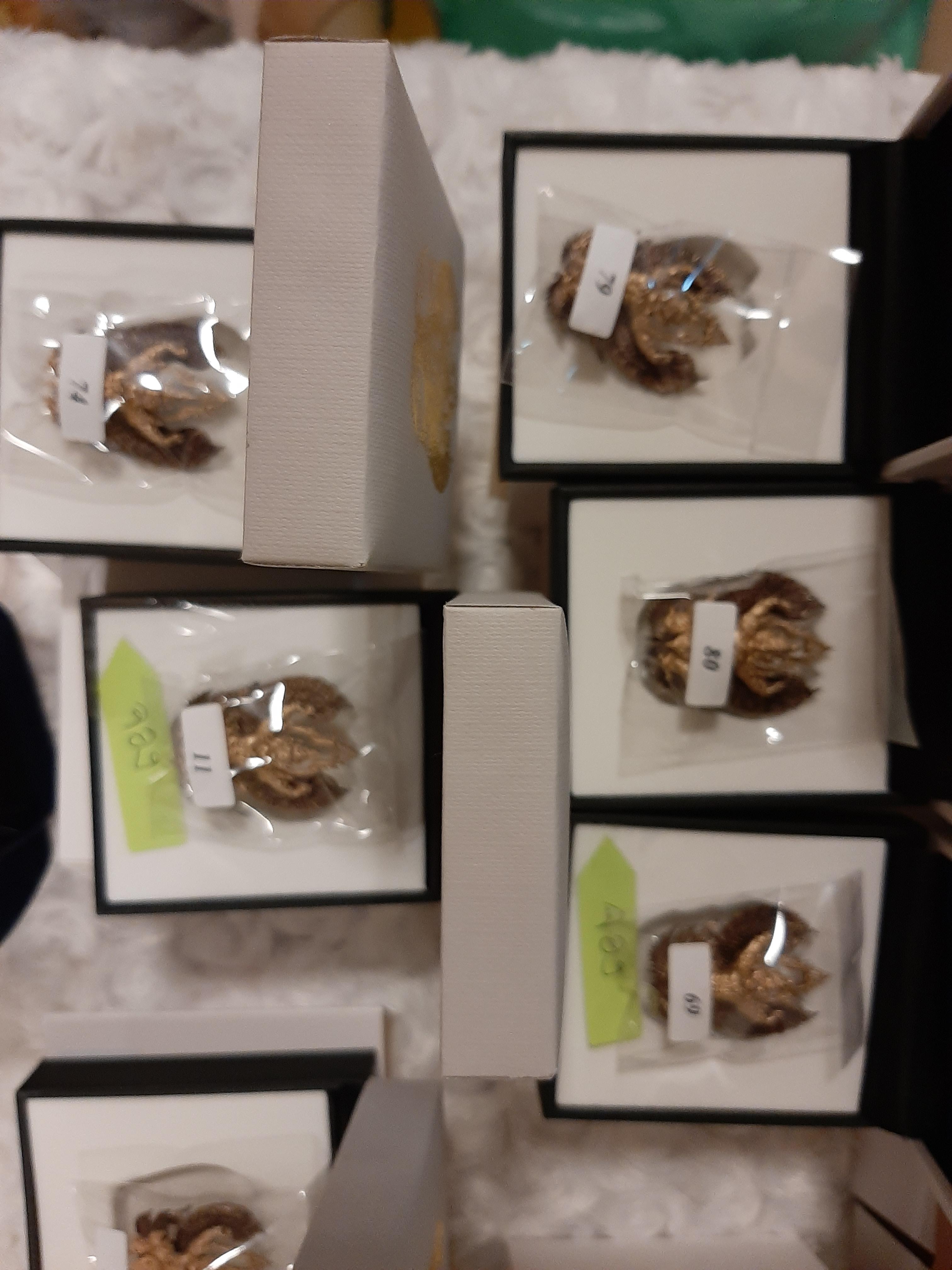 ครุฑทองคำ (พิมพ์เล็ก No.34) 1 ใน 38 องค์ พญาครุฑเทวราชมหาบารมี ๔ ทิศ หลวงพ่อวราห์ วัดโพธิ์ทอง