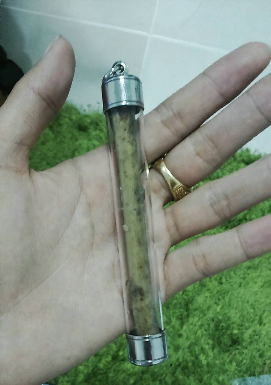 ตะกรุดไม้แหย่แย้ วัดลำบัวลอย (ดอกใหญ่)