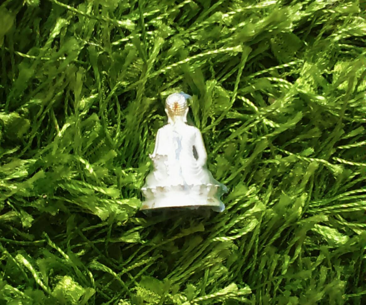 พระปัจเจกพุทธเจ้า รุ่น ปาฏิหารย์ วัดเขาวง ปี 56