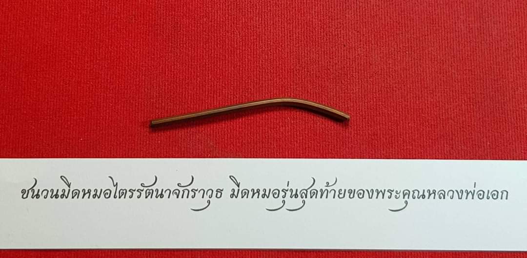 สลาเหิร (แมลงภู่คำ) อุดผงมวลสารวิเศษ ลพ.เอก