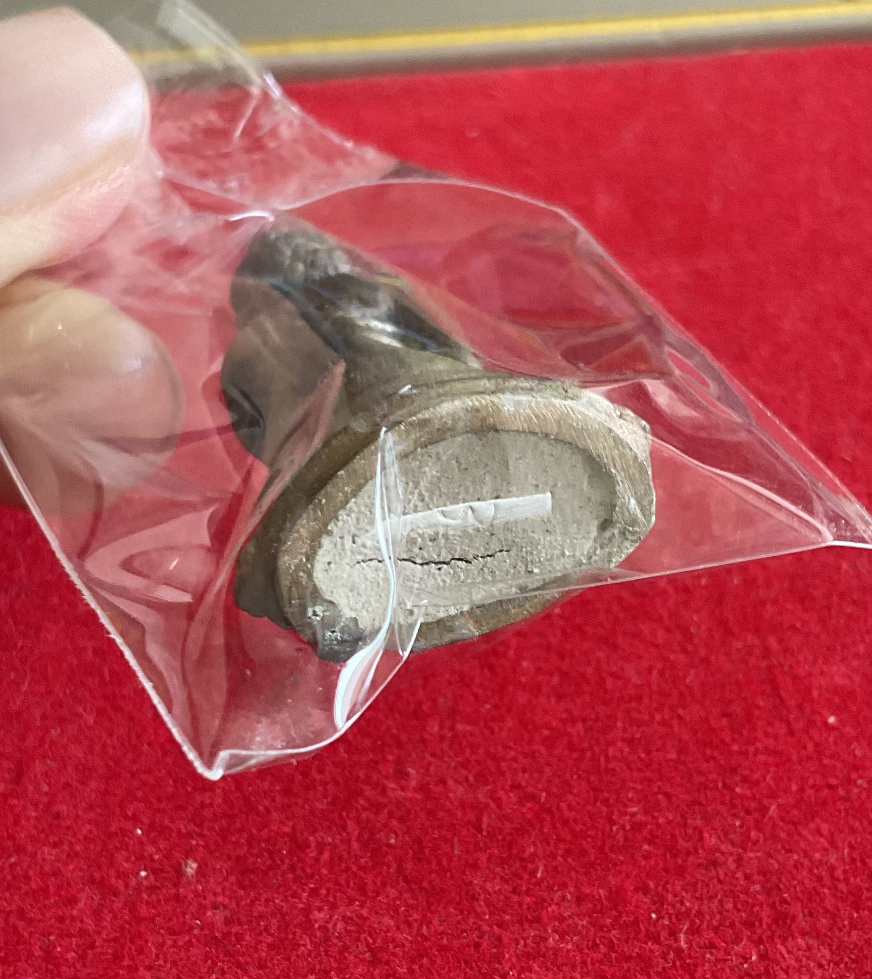 พระกริ่งพุทธสิกขีที่ ๑ เนื้อใบพัดเรือเดินสมุทร อุดผงเกราะเพชร หลวงพ่อเล็ก พุทธาภิเษก