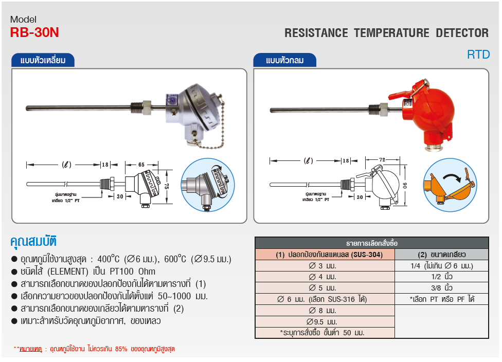 SK อาร์ทีดี (RTD) รุ่น RB-30N Series