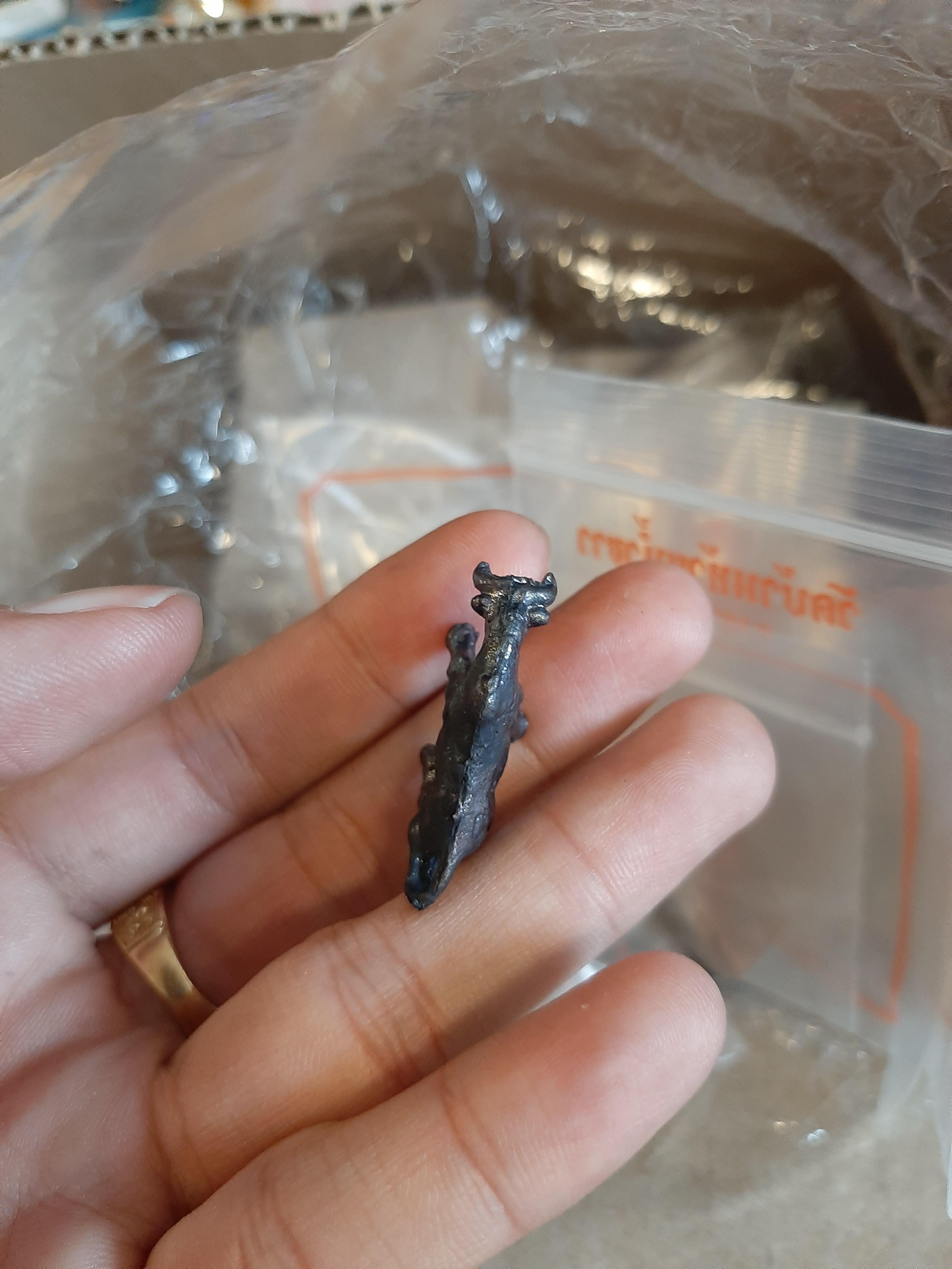 วัวธนู วัดโขงขาว ลพ.ฤาษีลิงดำร่วมเสก