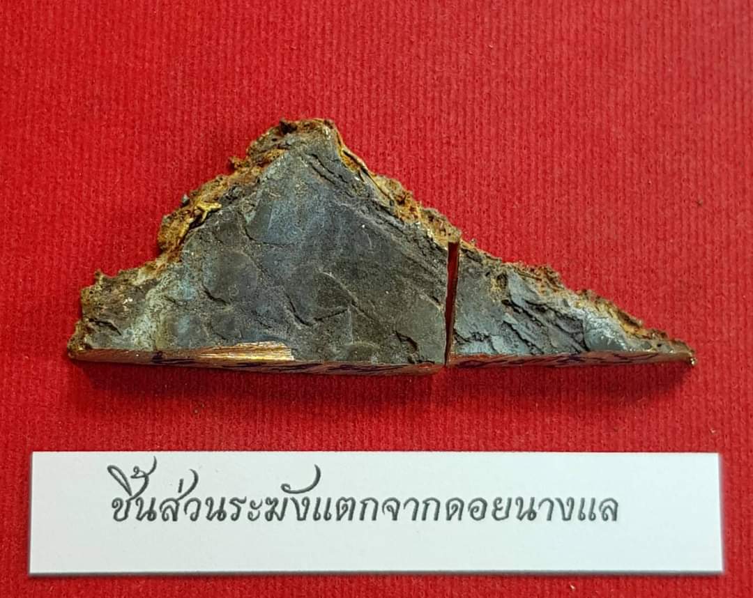 สลาเหิร (แมลงภู่คำ) อุดผงมวลสารวิเศษ ลพ.เอก