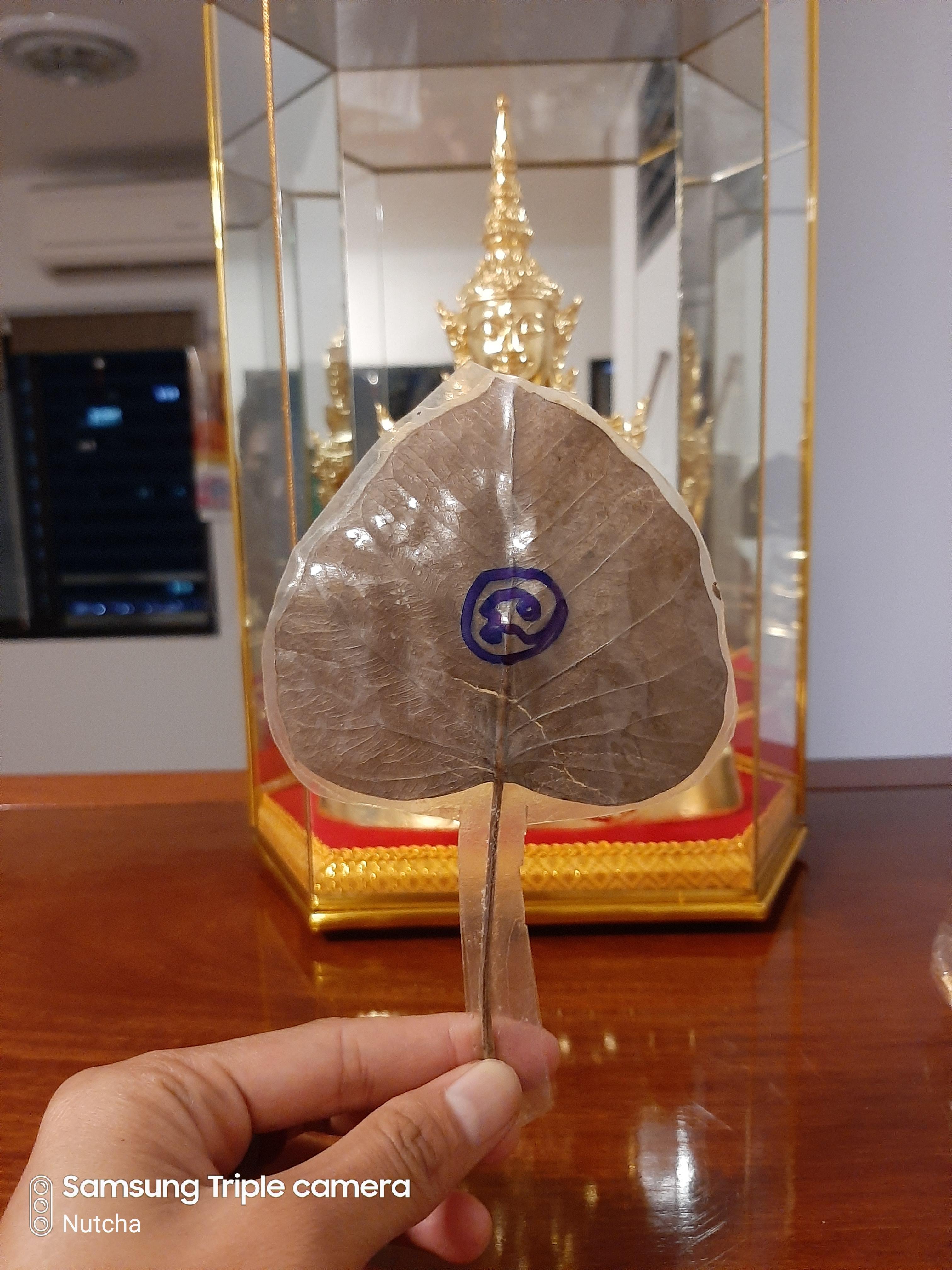 ใบไม้มงคล (๑) พระอาจารย์เล็กจารยันต์นะโมตาบอด งานเสาร์ ๕ (พิธีนี้องค์ปฐมเสด็จ)