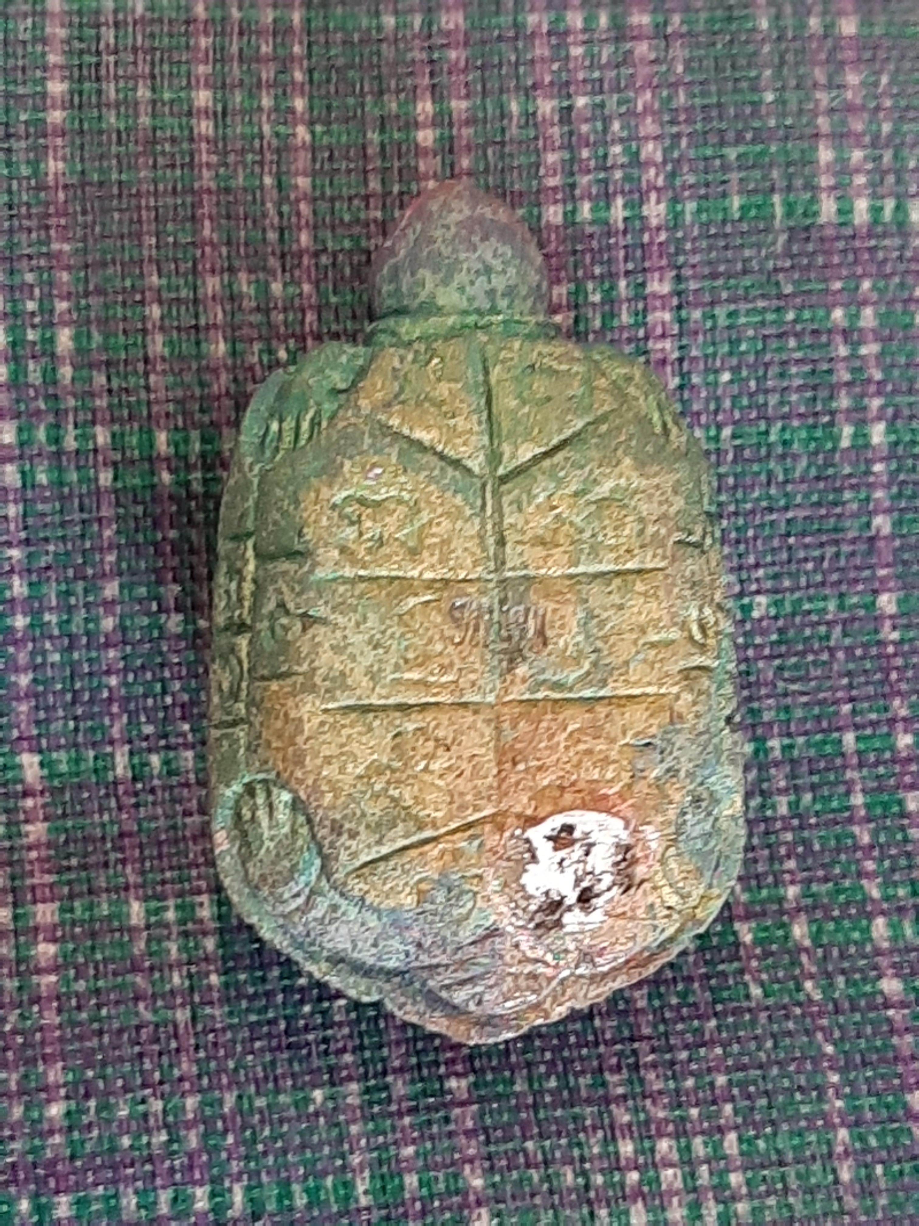 พญาเต่า เนื้อรวมแร่ หลวงพ่อหนุน วัดพุทธโมกข์ สีสดสวย โค๊ตใต้ท้อง