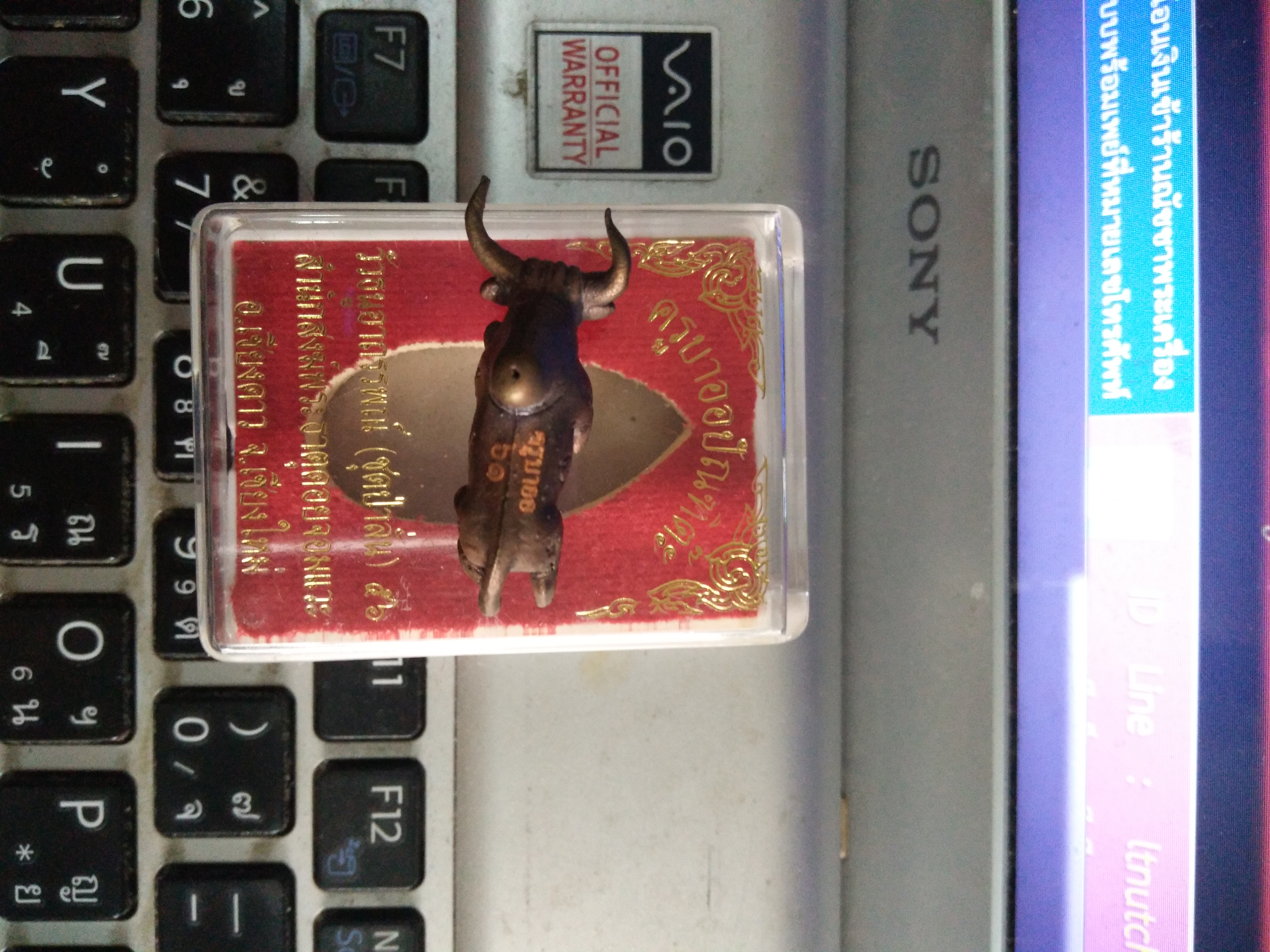 วัวธนูอาถรรพ์ ครูบาออ ปี 56