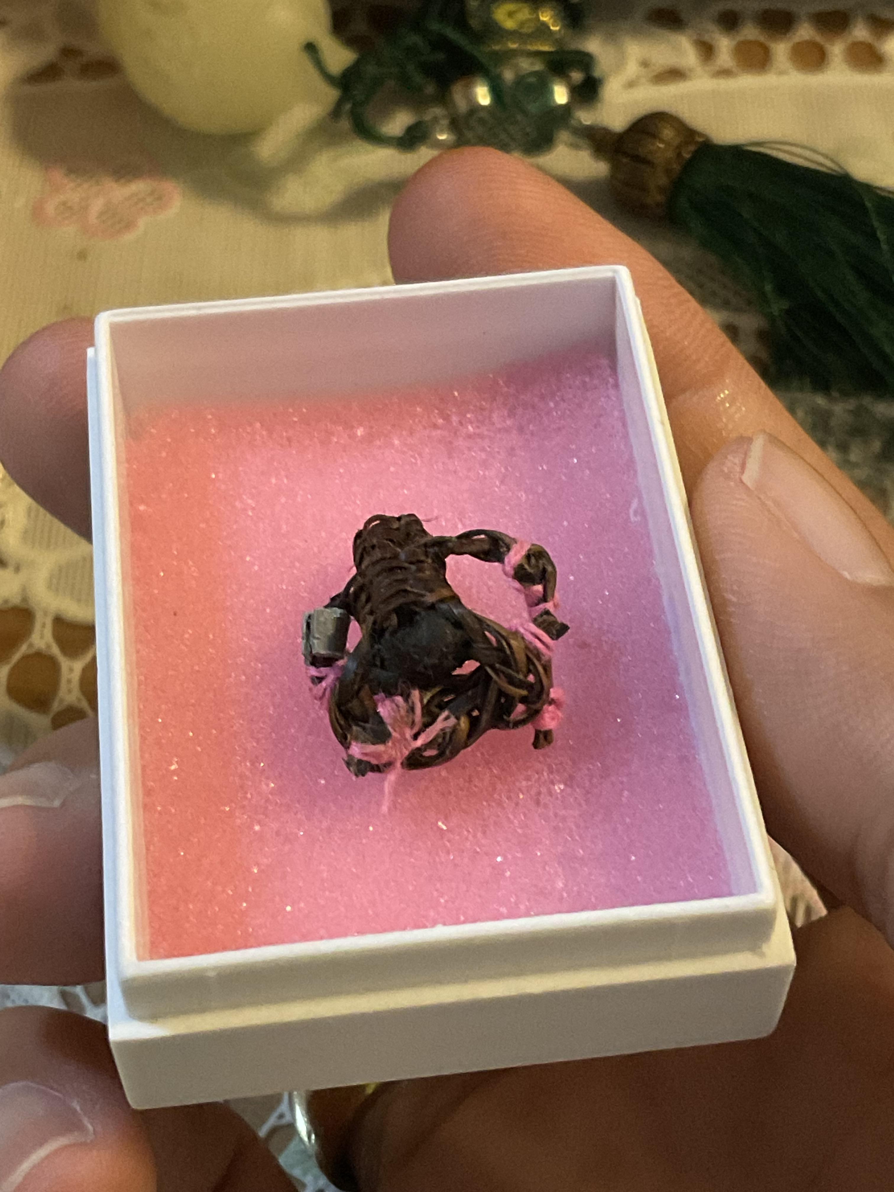 พ่อหุ่น หุ่นพยนต์ (มัดชมพู) อ.ปี่ สมาน แจ้งเจริญ