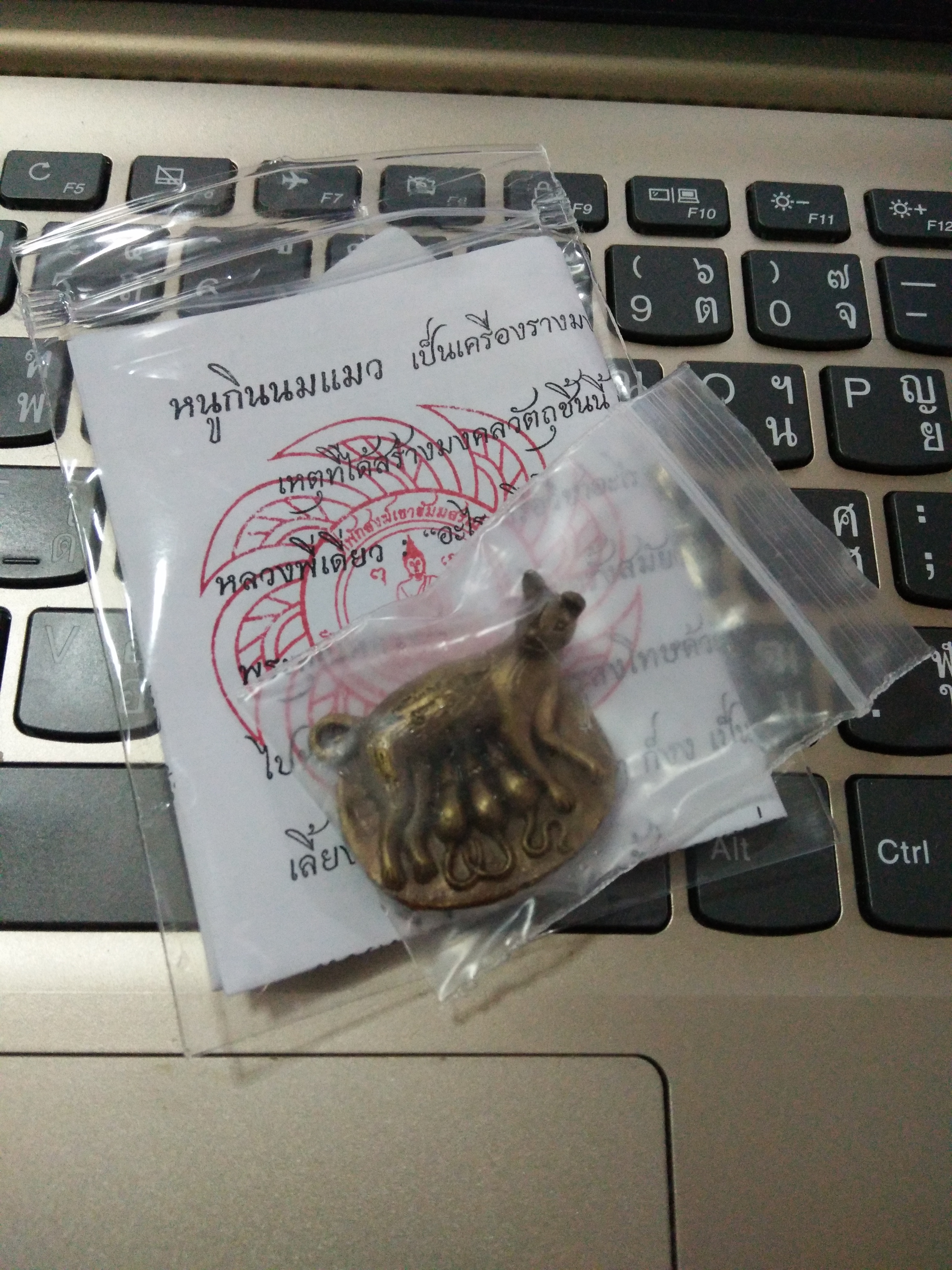 หนูกินนมแมว เนื้อชนวน สุดยอดมวลสาร ลพ.เอก สำนักสงฆ์เขาธรรมสรณ์