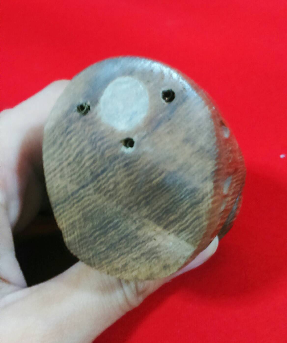 เสือตาพลอยแดงไม้เสาโบสถ์ จารยันต์รอบ หลวงพ่อหล่ำ วัดสามัคคีธรรม