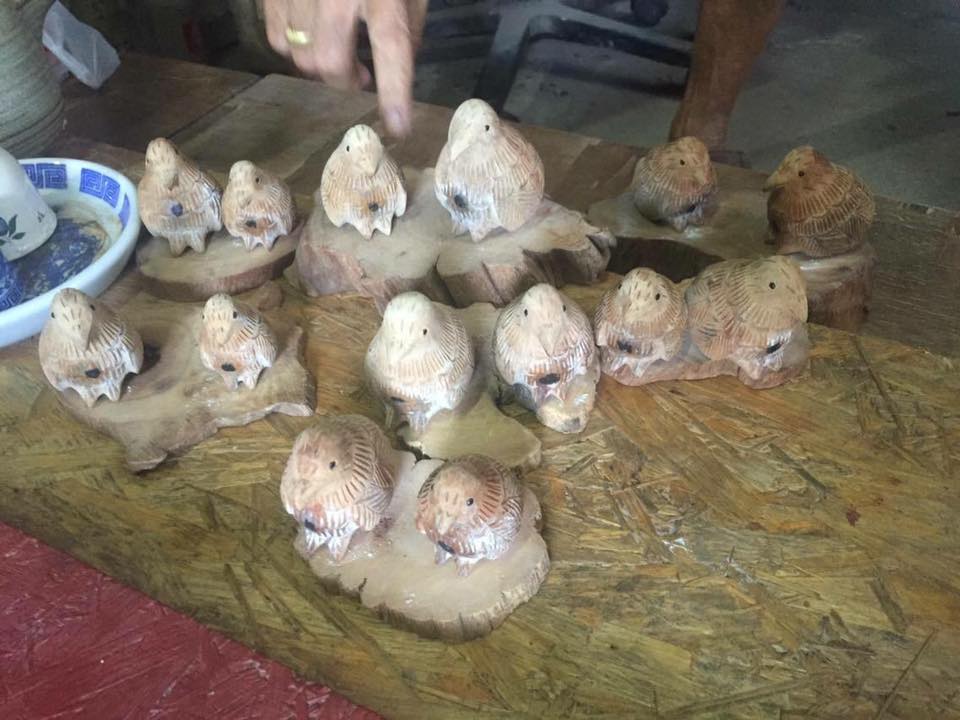 นกคุ้ม 1 ใน 59 ตัว อ.ปี (สมาน แจ้งเจริญ) ปี 59