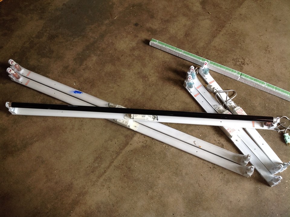 หลอดแบล็คไลท์ 36 วัตต์ ตัวราง ยาว 48 นิ้ว หลอดพร้อมราง ( แถม สายยาว 1เมตร พร้อมปลั๊กเสียบ ) ของใหม่ ชุดละ 880 บาท.- ค่าส่ง 100.- ใช้ตรวจเอกสารสำคัญ เช่น ธนบัตร แบงค์เงินปลอม หนังสือเดินทาง, บัตรเครดิต ฯลฯ ว่าเป็นของจริงหรือปลอม หรือ ล่อแมลง ได้ครับๆ