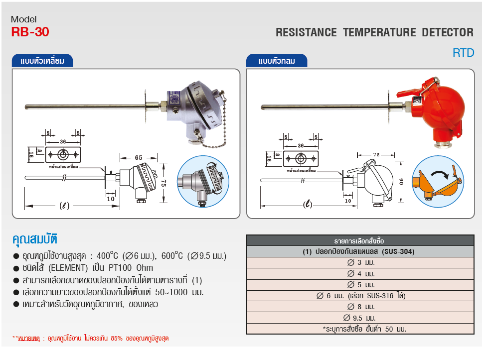 SK อาร์ทีดี (RTD) รุ่น RB-30 Series