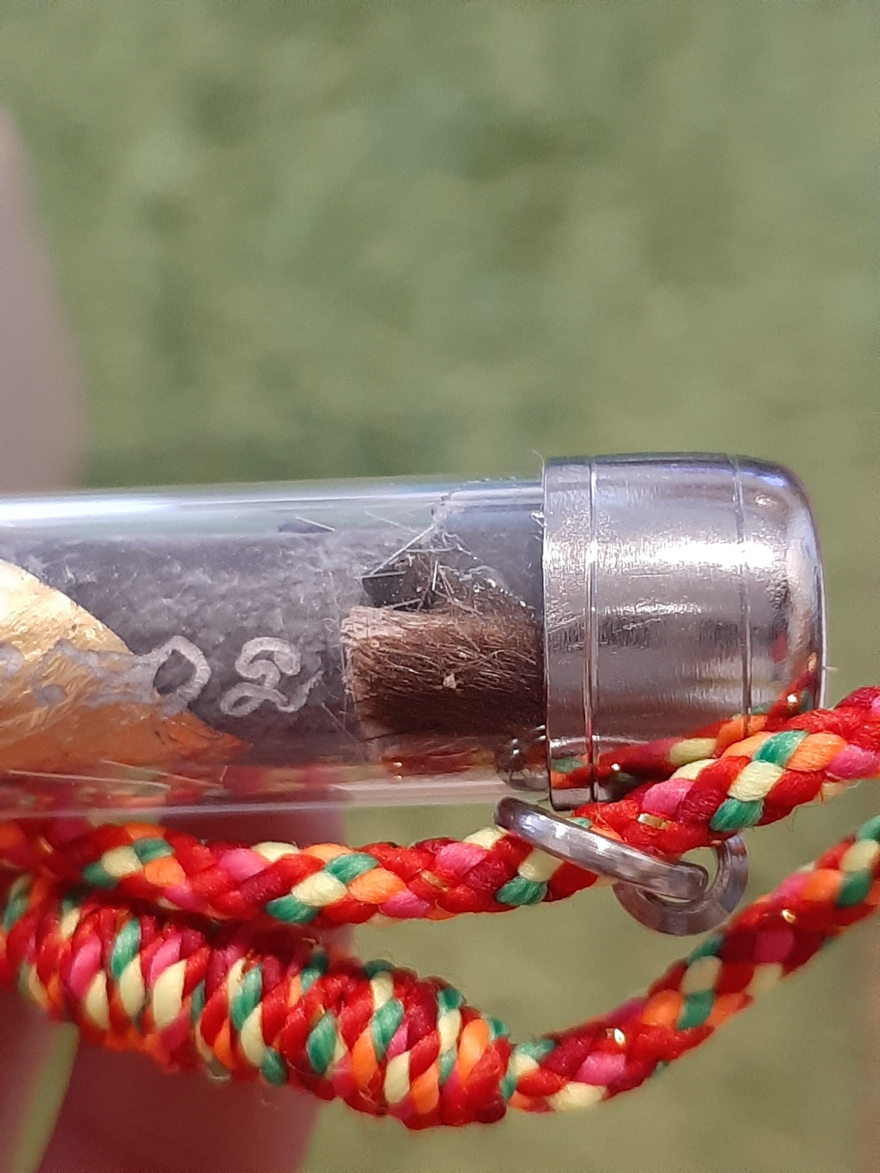 ตะกรุดวัวกินนมเสือ ผงใบลาน มีเกศา ลป.ม่วง วัดยางงาม