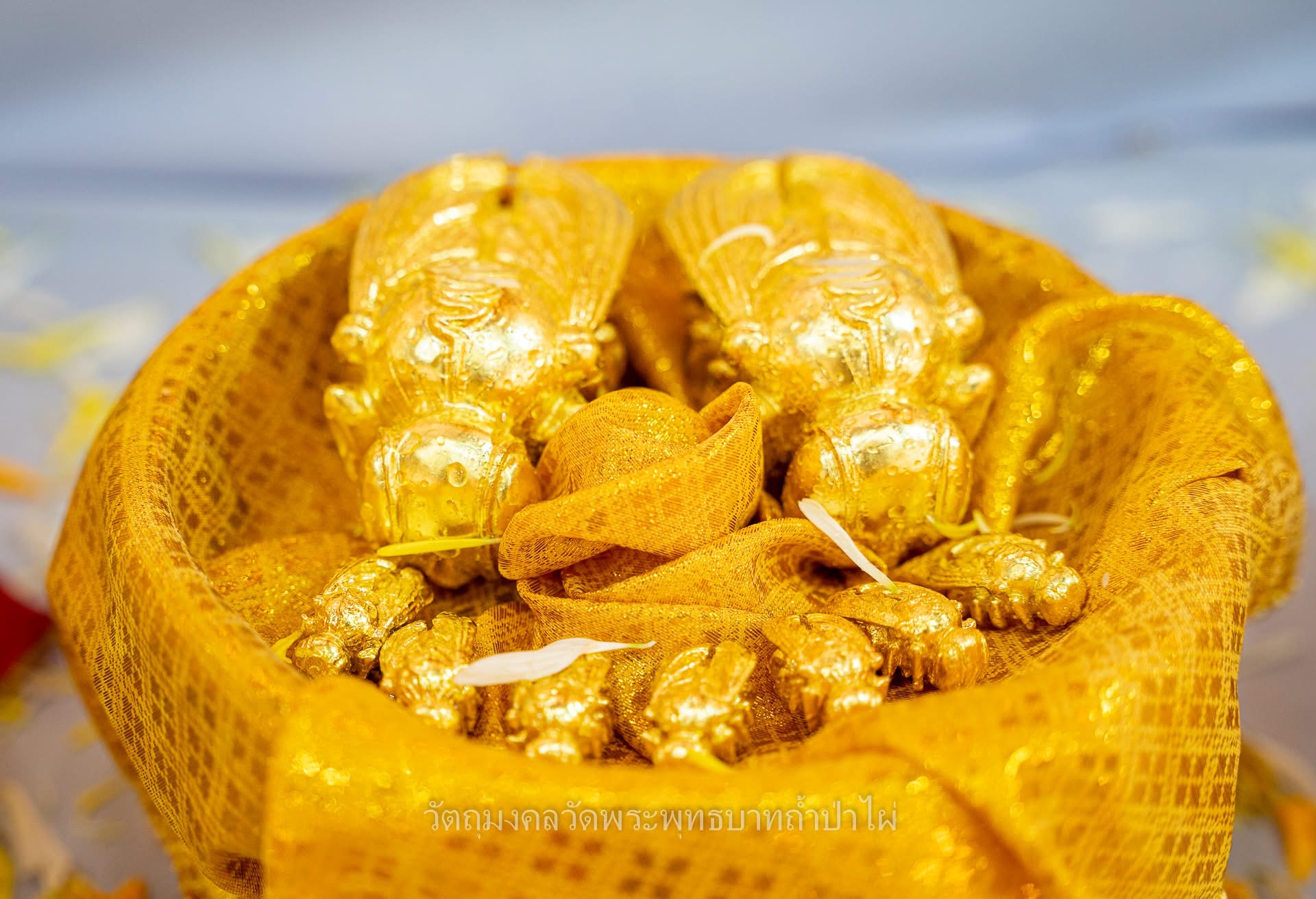 ดวงแก้วมนทกานต์ (แก้วเหลือง) พิธีฝ่าวิกฤติ เลื่อนยศ ยกฐานะ