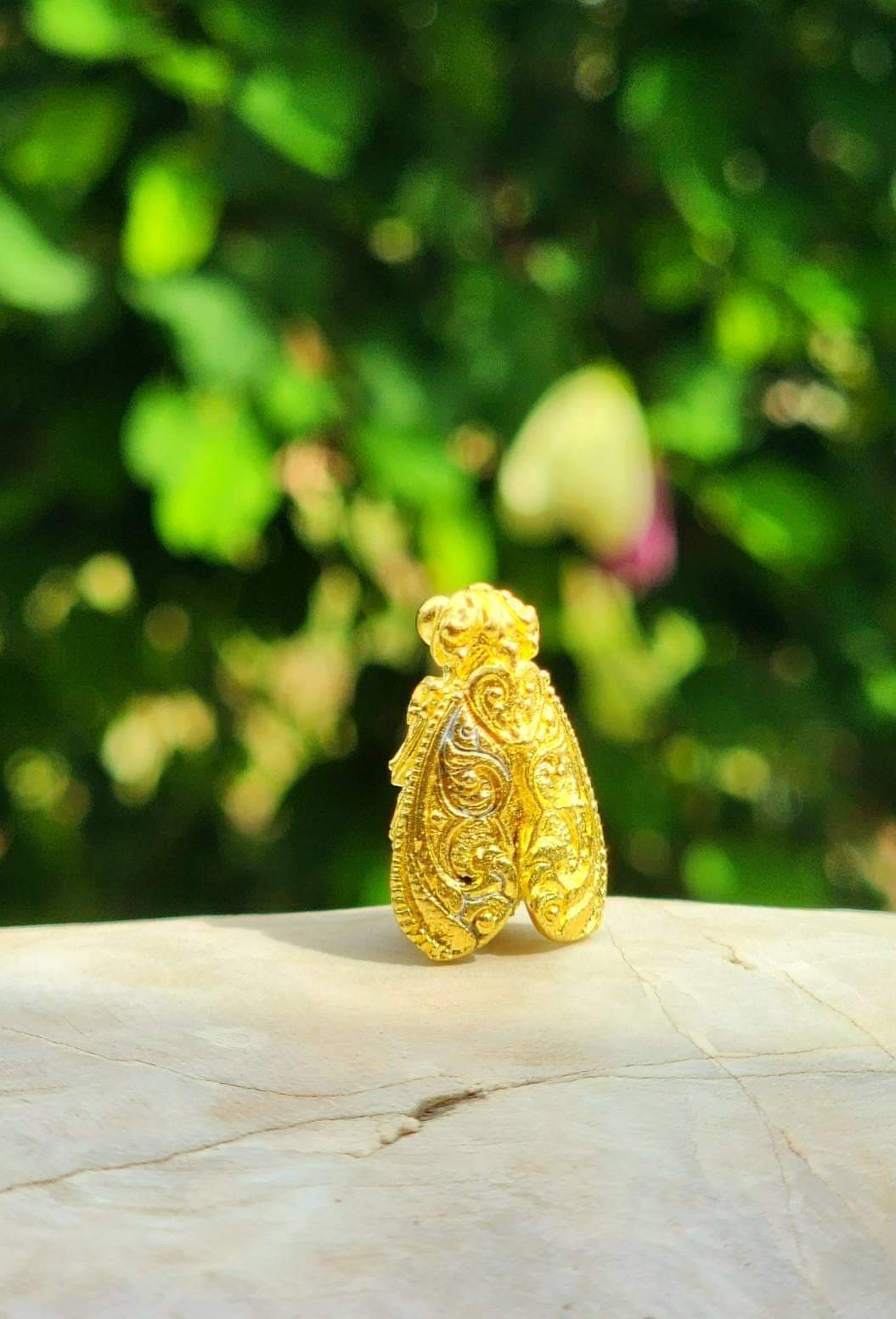 สลาเหิร (แมลงภู่คำ) อุดผงมวลสารวิเศษ ลพ.เอก