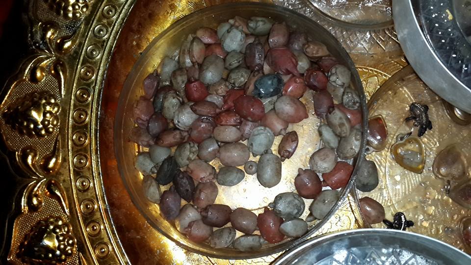 จระเข้จันทร์เพ็ญ ลพ.สนิท วัดลำบัวลอย