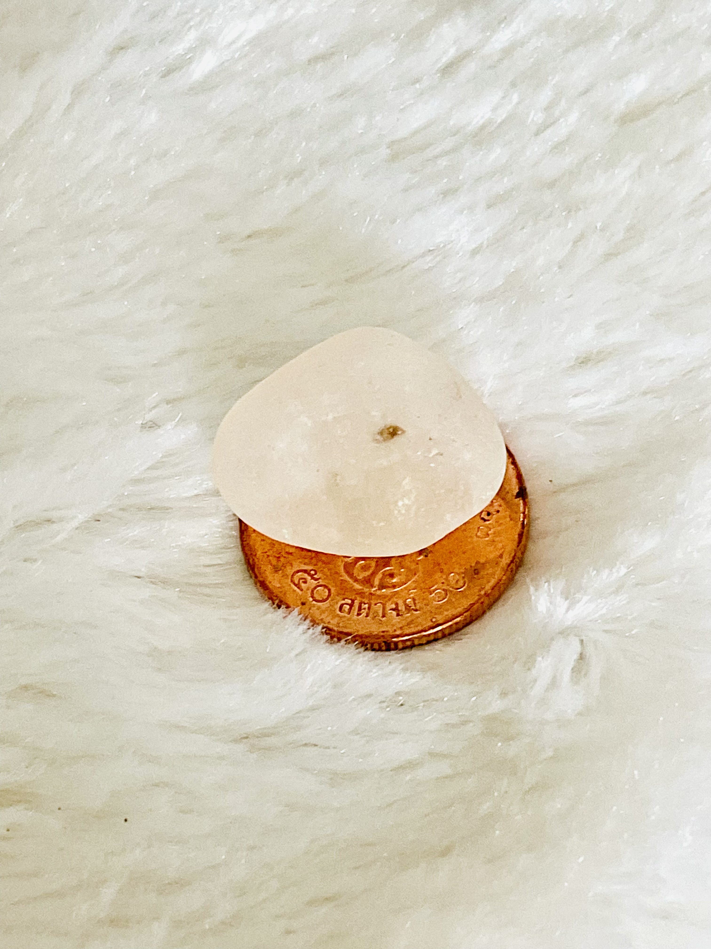 ปฐวีธาตุ โค๊ตดีบุก (มีพญานาครักษา1 องค์) วรรณะออกขาว ลพ.เล็กร่วมเสก วัดพุทธพรหมยาน