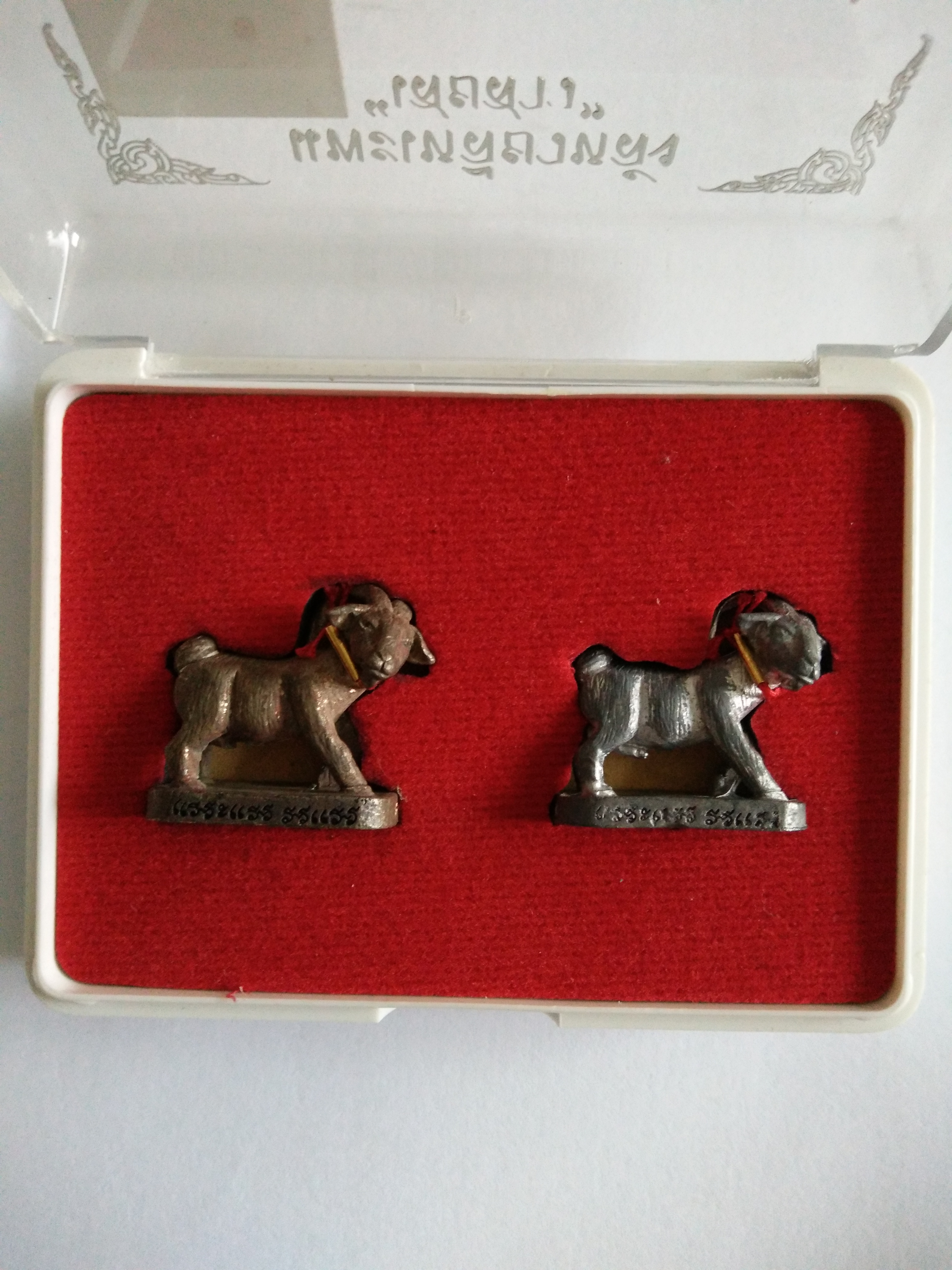 แพะเสยสาว เนื้อนวโลหะ ตะกั่ว คล้องตะกรุดทองคำ ลป.อาด วัดบุญสัมพันธ์ ชุดกรรมการ 2