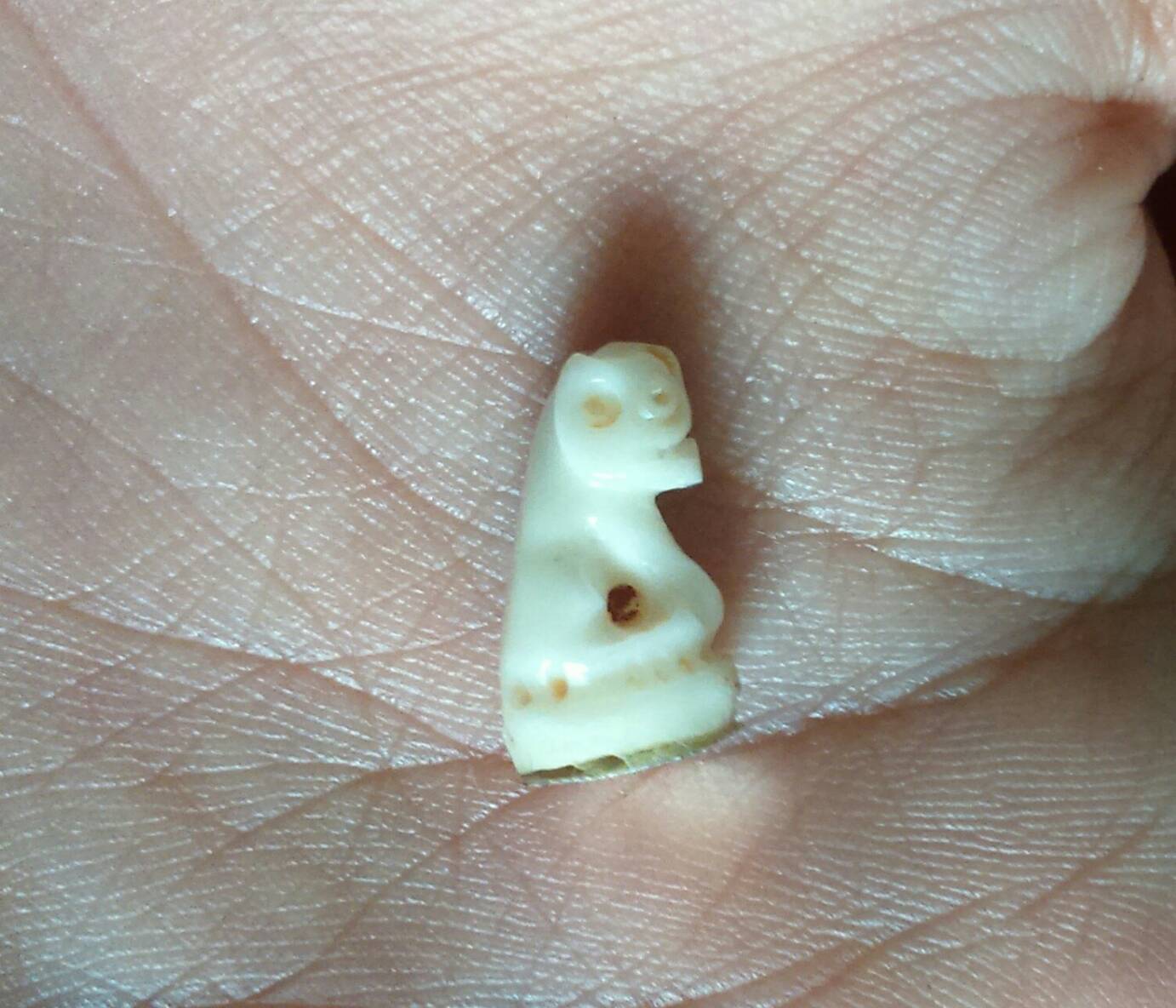 เสือโปร่งฟ้า(สาริกา) No.177 (1 ใน 250 ตัว) ลป.แก่น วัดเขื่อนท่าทุ่งนาประชาสรรค์ ปี 58