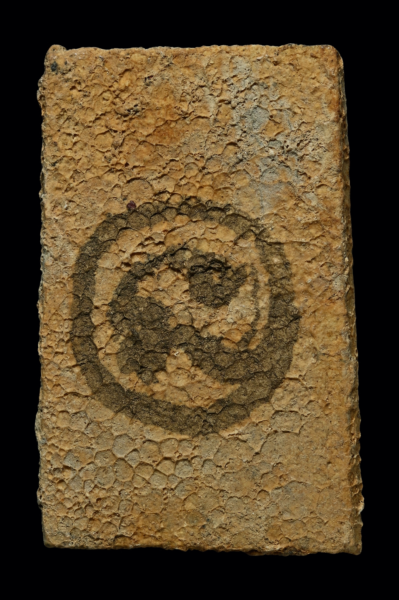 พระสมเด็จ (องค์ 9) หลังยันต์นะโมตาบอด โดยพระอาจารย์เล็ก วัดท่าขนุน