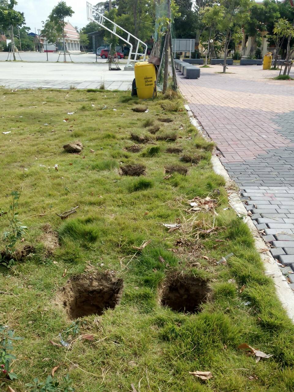 เครื่องออกกำลังกายกลางแจ้งวัชพล