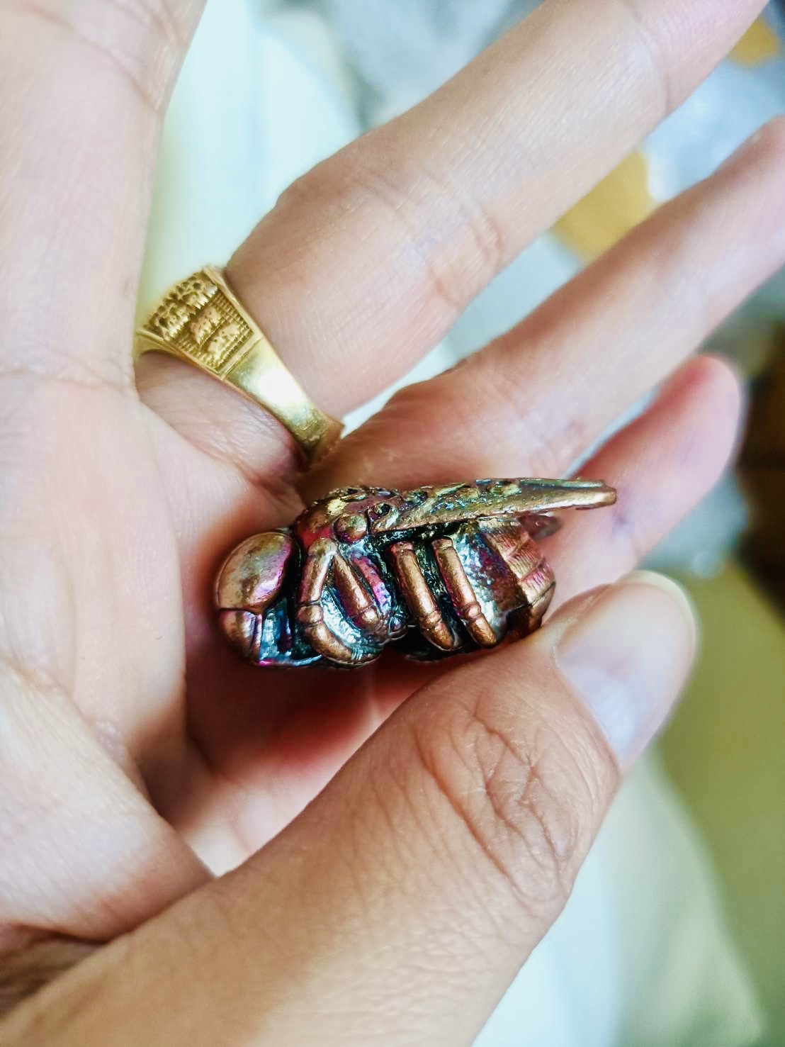 พญาแมลงภู่คำกายสิทธิ์ เนื้อกายสิทธิ์สุริยันราชา เสก ๑๖ พิธี หลวงพ่อเล็ก วัดท่าขนุนเสก