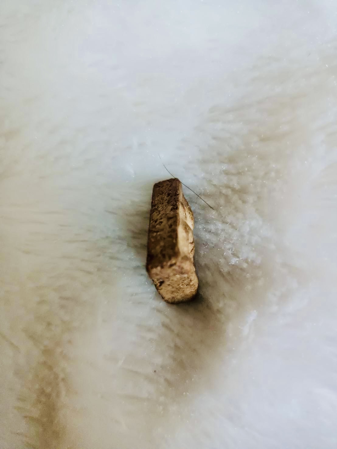 พระนางพญา สมัยอโยธยา วัตถุมงคลส่วนองค์หลวงพ่อเล็ก วัดท่าขนุน