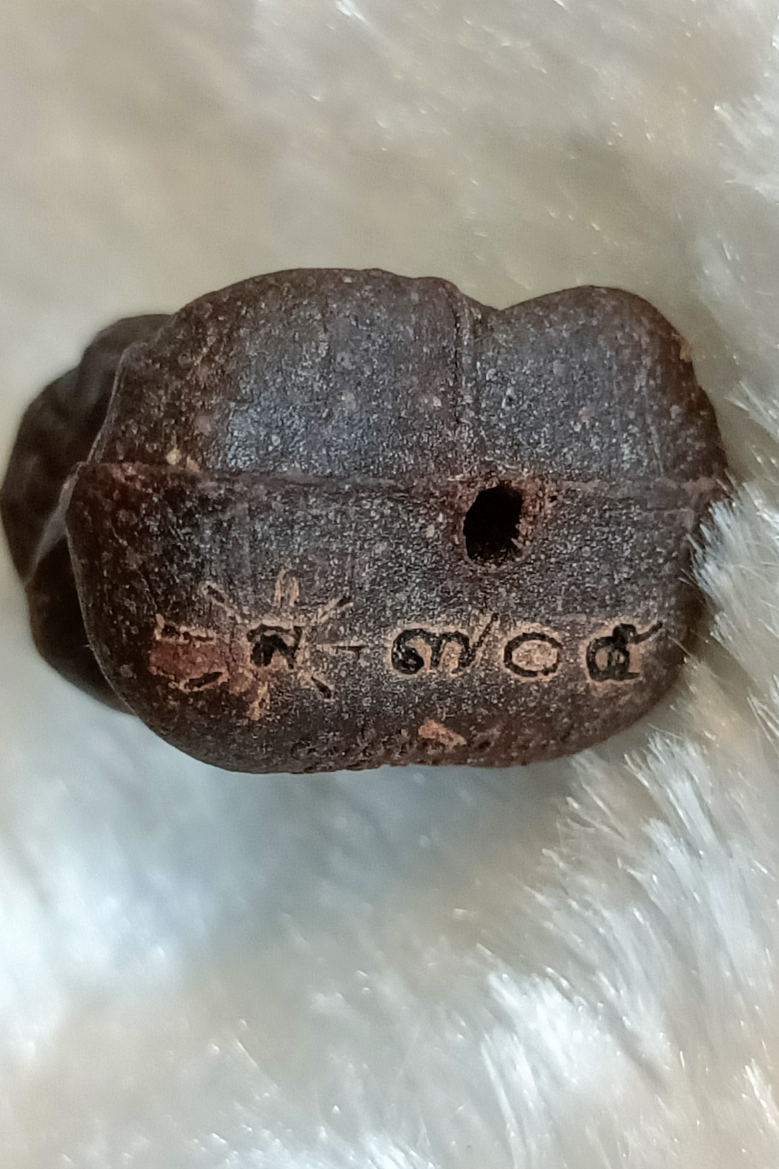 พระปิดตามหาเศรษฐี เนื้อว่าน 108 ผสมครั่ง หลวงปู่สมสิทธิ์ รักขิตสีโล