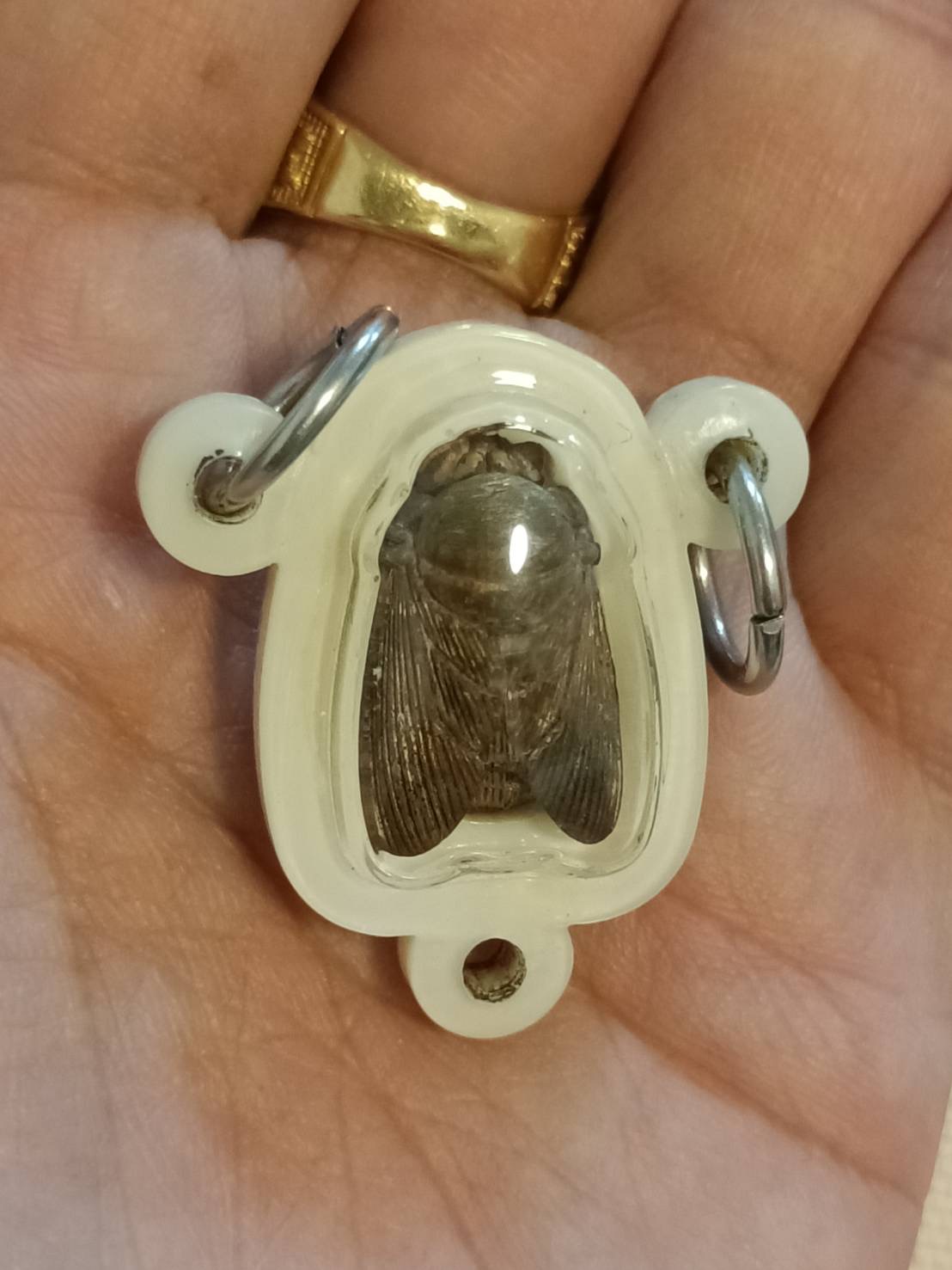 แมลงภู่คำ เจ้าทรัพย์ เสาร์ 5 เลี่ยมสามห่วง หลวงปู่ศิลา