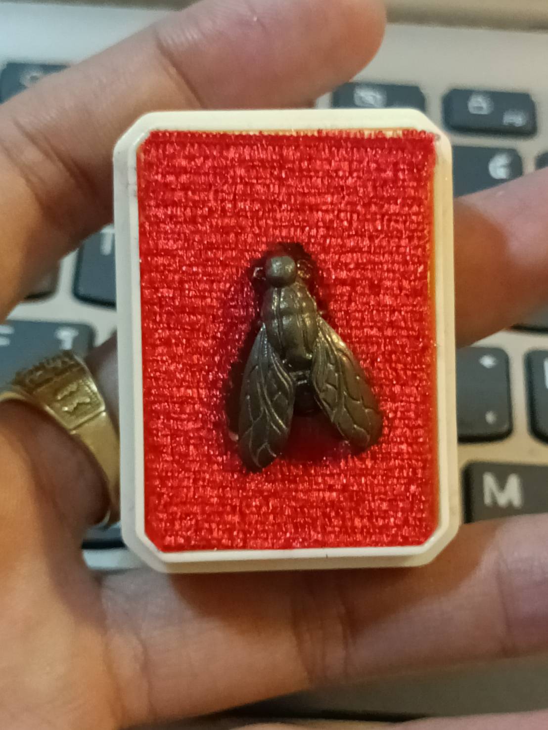 แมงมนต์คำ รุ่น โคตรเศรษฐี ๑ ครูบาวิมาละ วิมาโร เกจิสายเหนือ