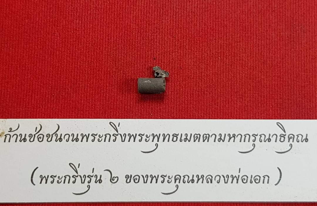 สลาเหิร (แมลงภู่คำ) อุดผงมวลสารวิเศษ ลพ.เอก