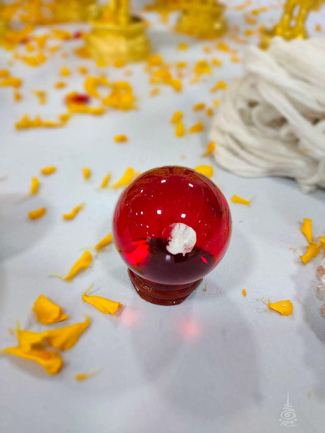 แมลงภู่คำจ่าฝูง ปรอทป่า (สีเขียว) วัดพระพุทธบาทถ้ำป่าไผ่ หลวงพ่อเล็ก พุทธาภิเษก