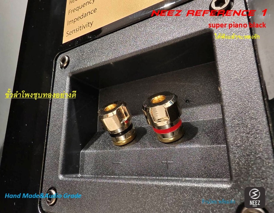 ลำโพง NeeZ Audio R1 "ได้ฟังแล้วจะหลงรัก"