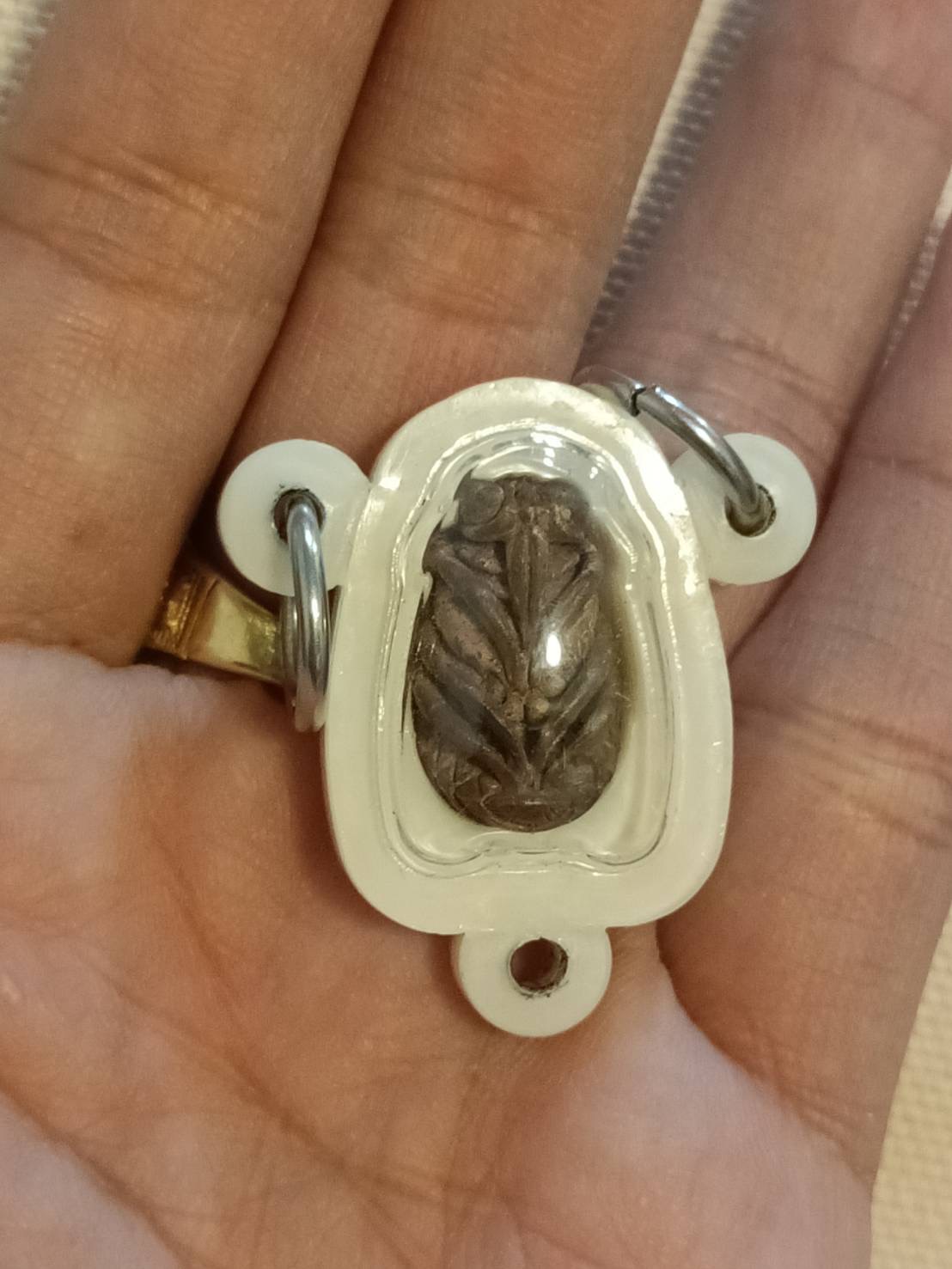 แมลงภู่คำ เจ้าทรัพย์ เสาร์ 5 เลี่ยมสามห่วง หลวงปู่ศิลา