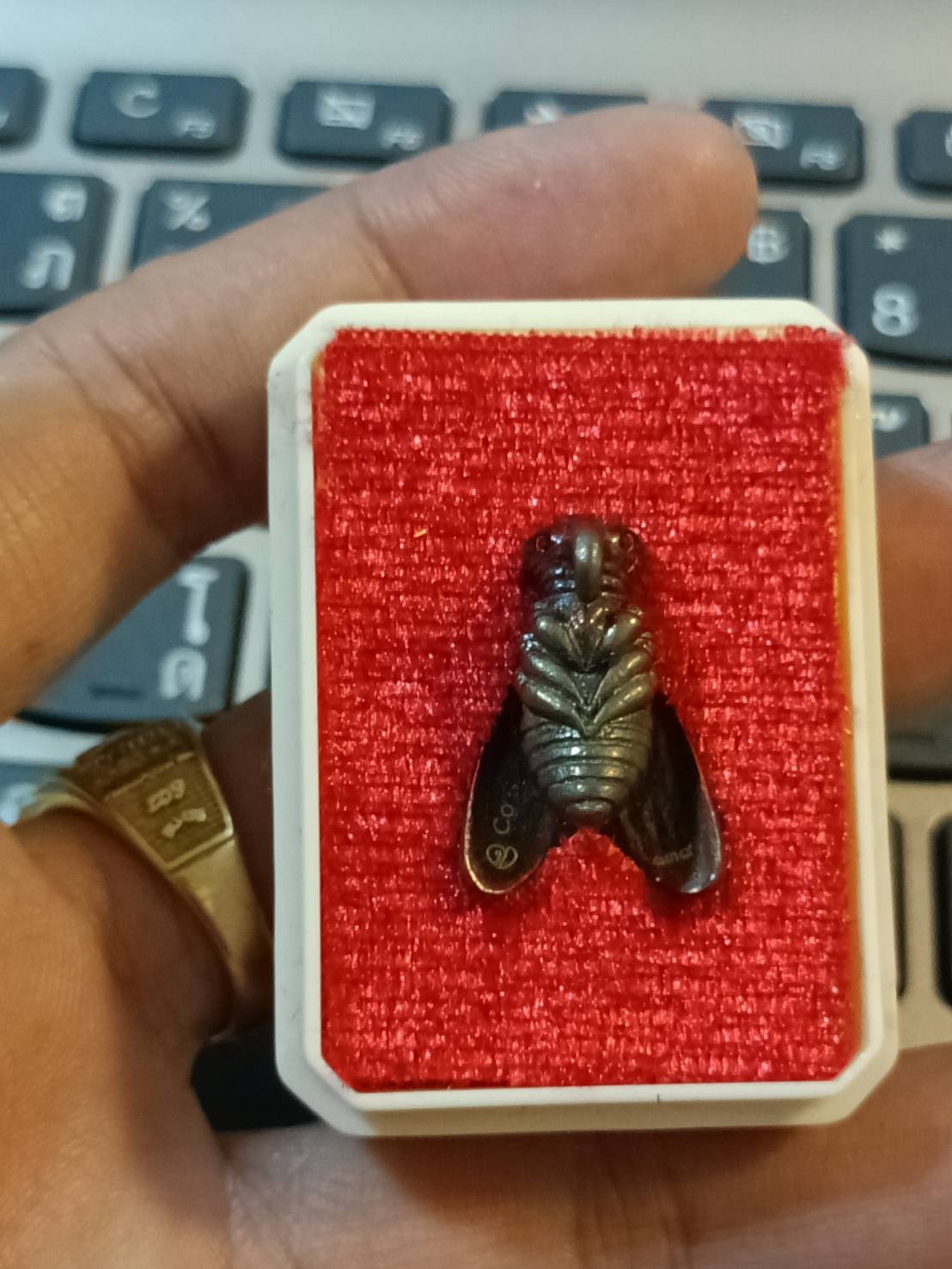 แมงมนต์คำ รุ่น โคตรเศรษฐี ๑ ครูบาวิมาละ วิมาโร เกจิสายเหนือ