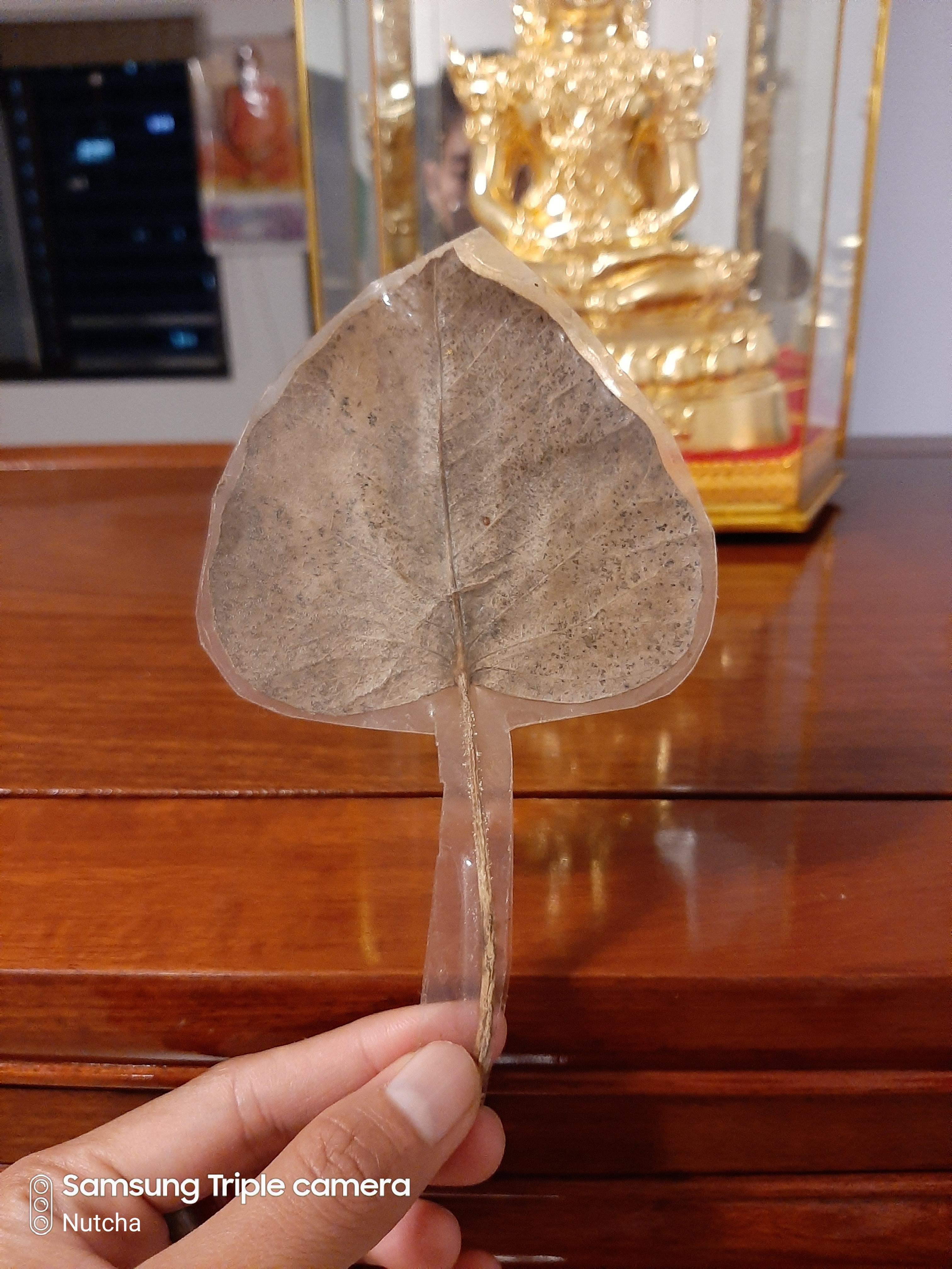 ใบไม้มงคล (๑) พระอาจารย์เล็กจารยันต์นะโมตาบอด งานเสาร์ ๕ (พิธีนี้องค์ปฐมเสด็จ)