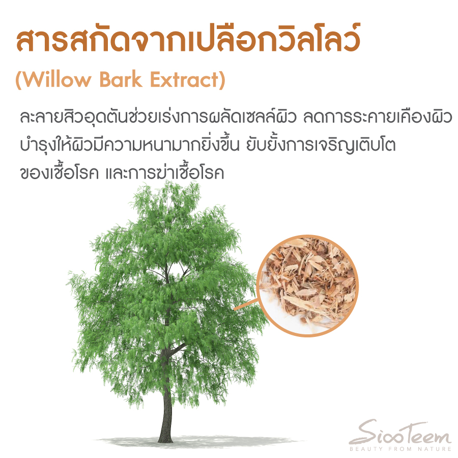 SIXTEEM ACNE Solutions Serum เซรั่มสิว ลดสิวอักเสบ รักษาสิว สูตรป้องกันสิว