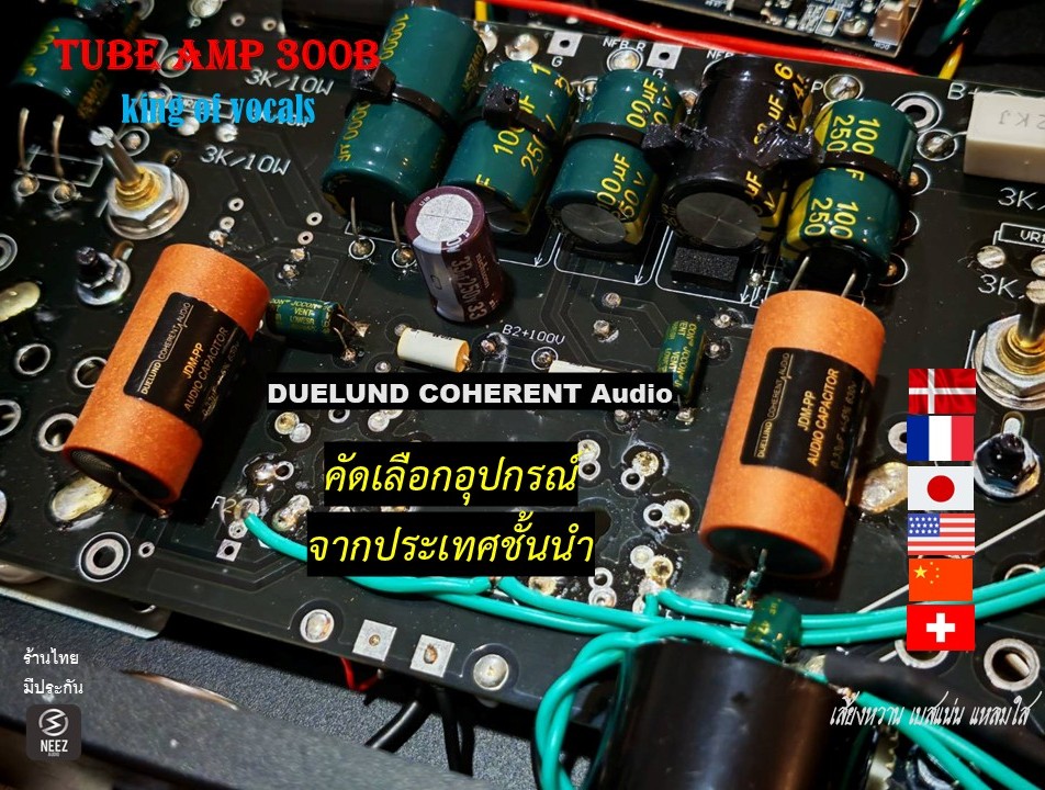 แอมป์หลอด 300B Tube Amp Pure Class A เสียงหวาน เบสแน่น แหลมใส - ร้านไทย พร้อมส่ง -