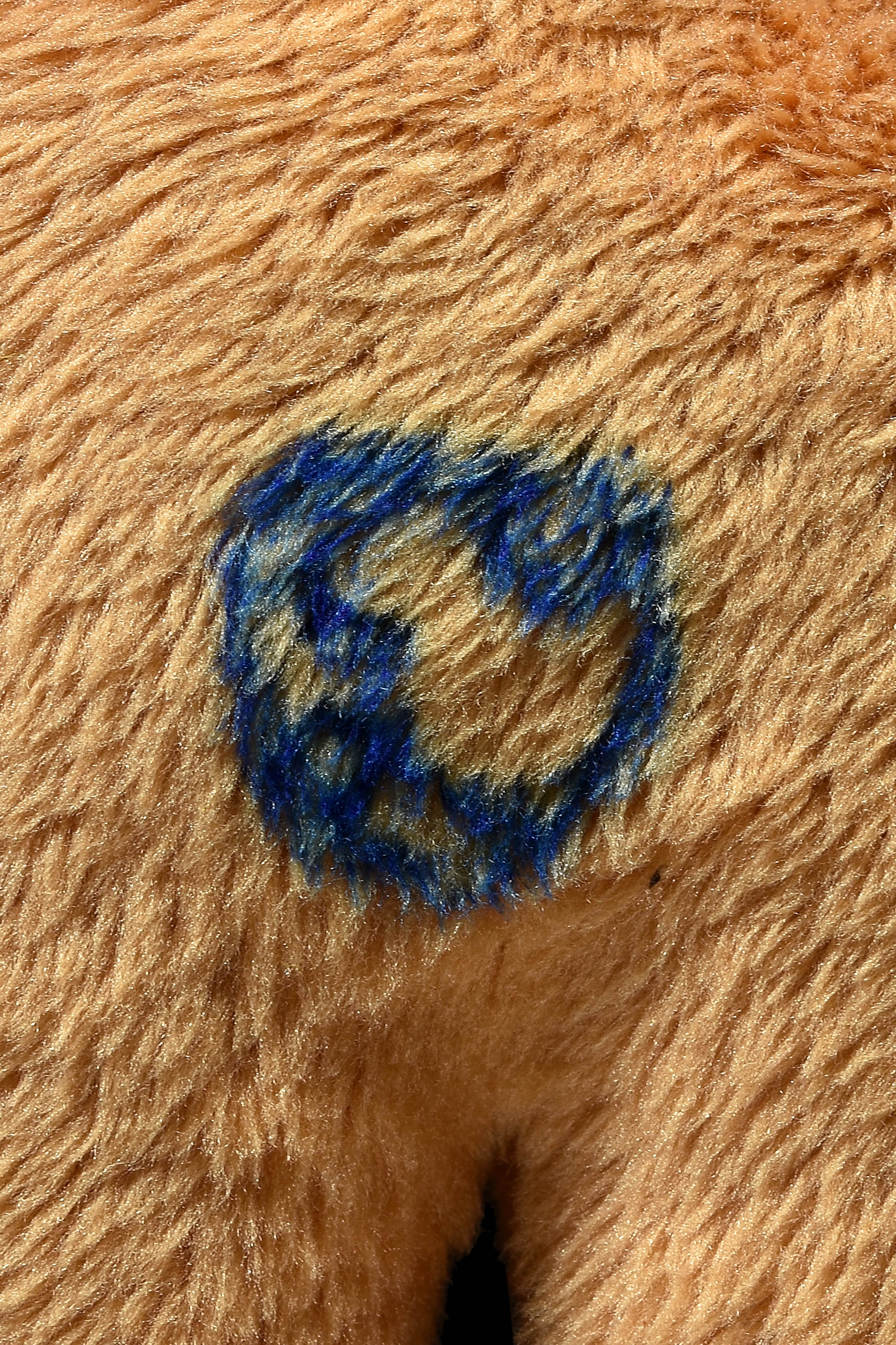 ตุ๊กตาหมีที่ไปเที่ยวกฐินปลดหนี้ที่เนปาลกับพระอาจารย์ มาพร้อมจาร