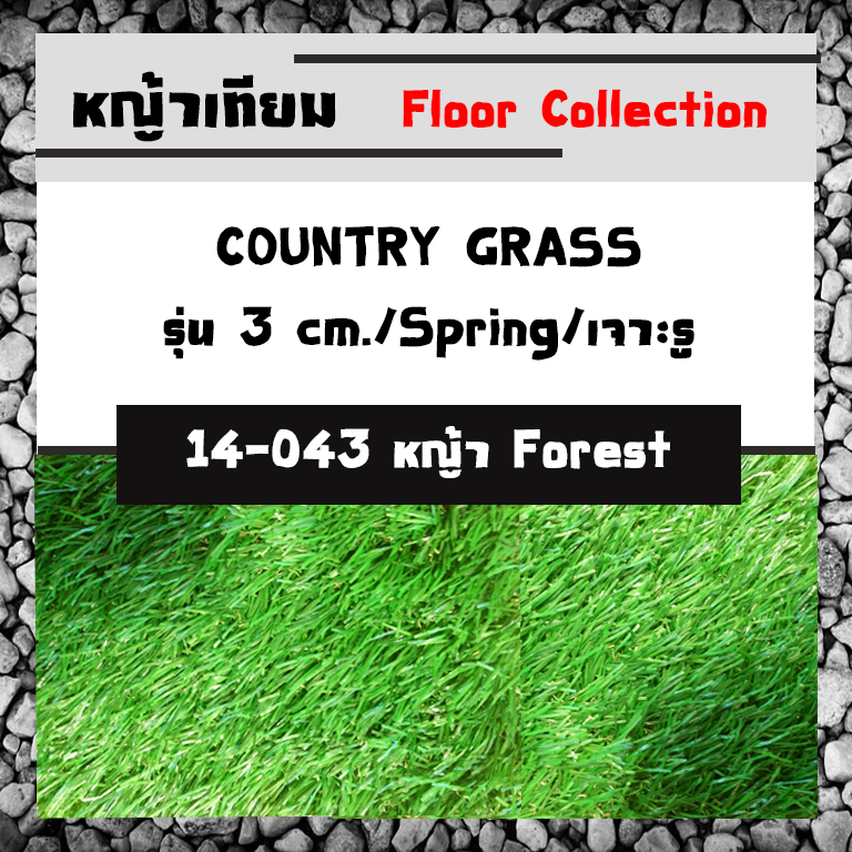 COUNTRY GRASS