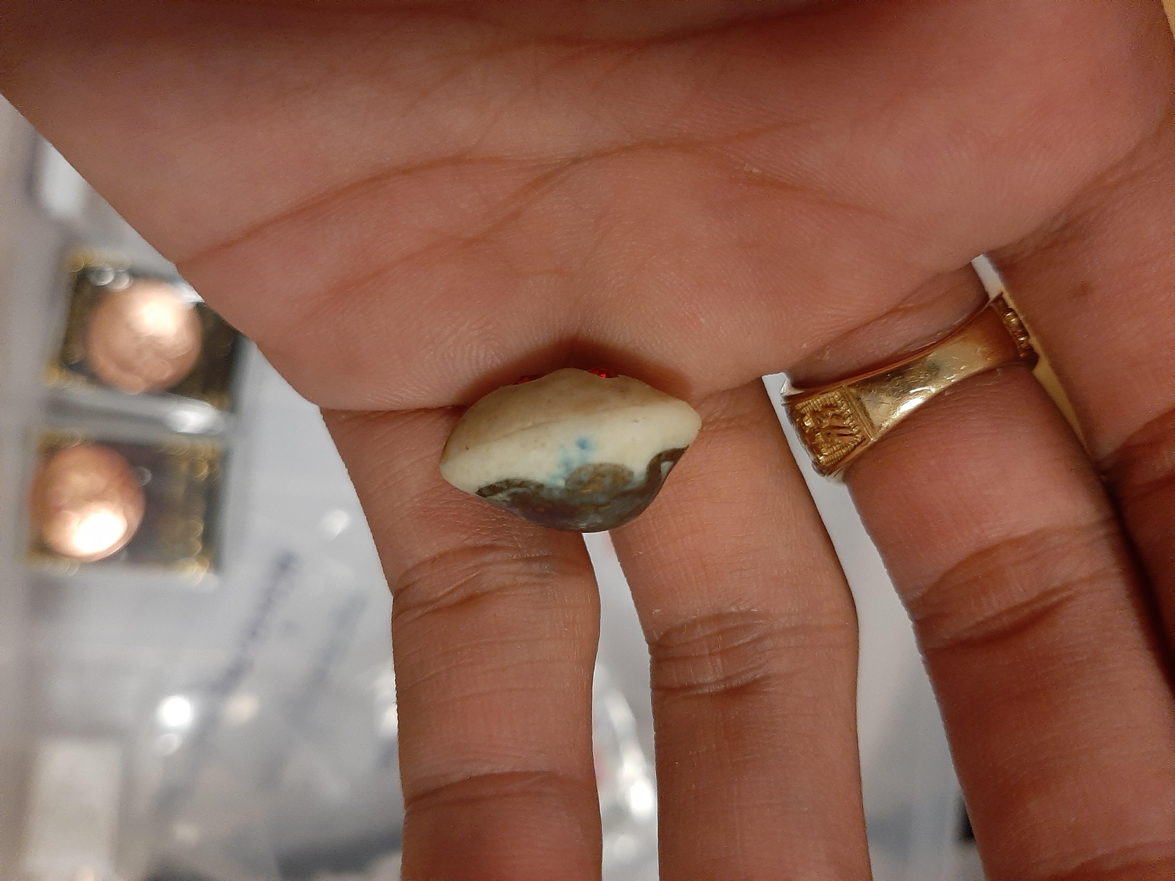 เบี้ยแก้เศรษฐีเงินล้าน (ภควจั่น) หลวงปู่หงษ์ สุสานทุ่งมน