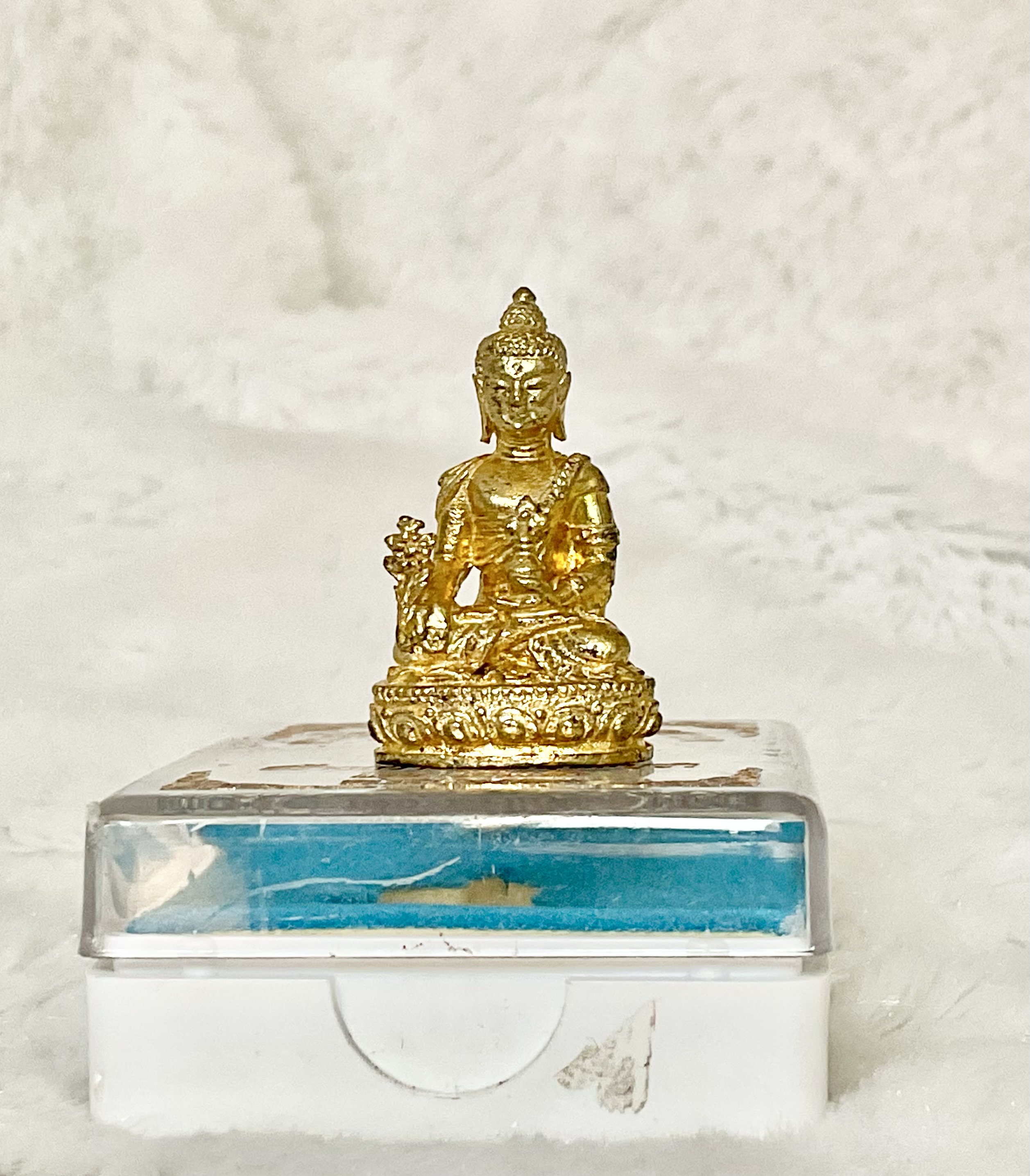 พระไภษัชยคุรประภาตถาคต รุ่น รักษาโรคภัย ปี 63 ครูบากฤษดาและรวมเกจิ