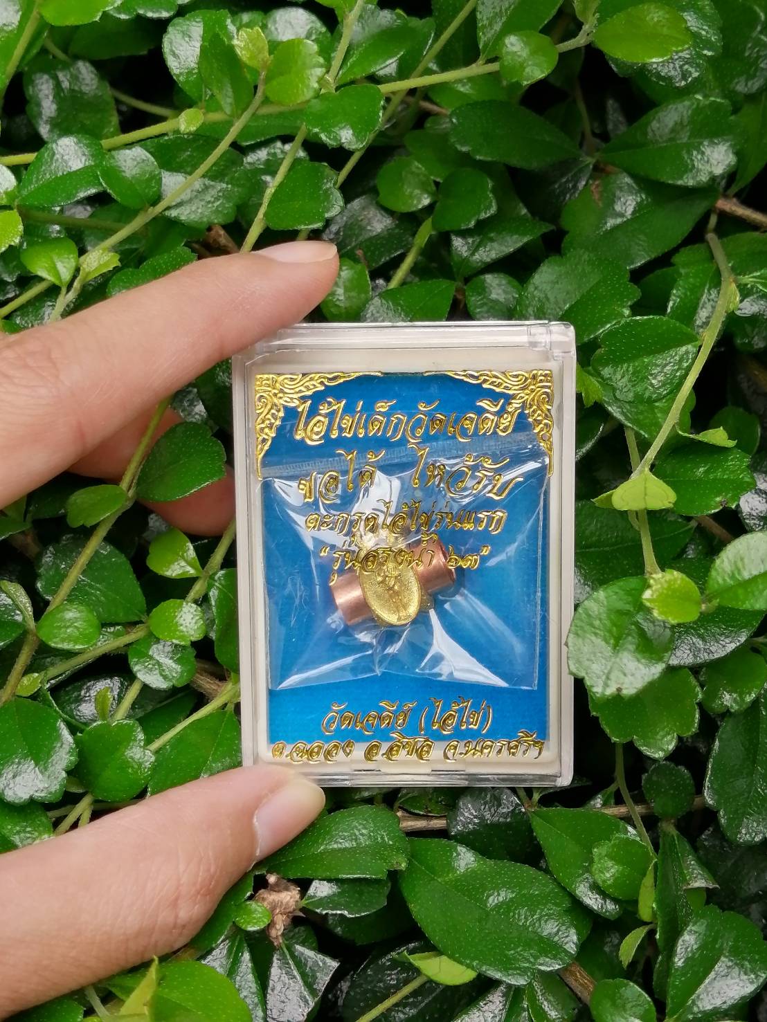 ตะกรุดไอ้ไข่รุ่นแรก รุ่น สรงน้ำ ๖๓ วัดเจดีย์