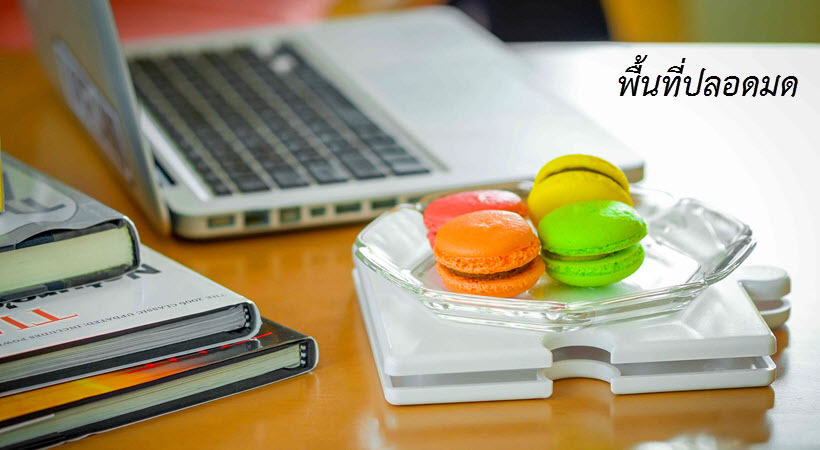 แผ่นรองกันมด AntPad ชุดแผ่นคู่ สีเขียว