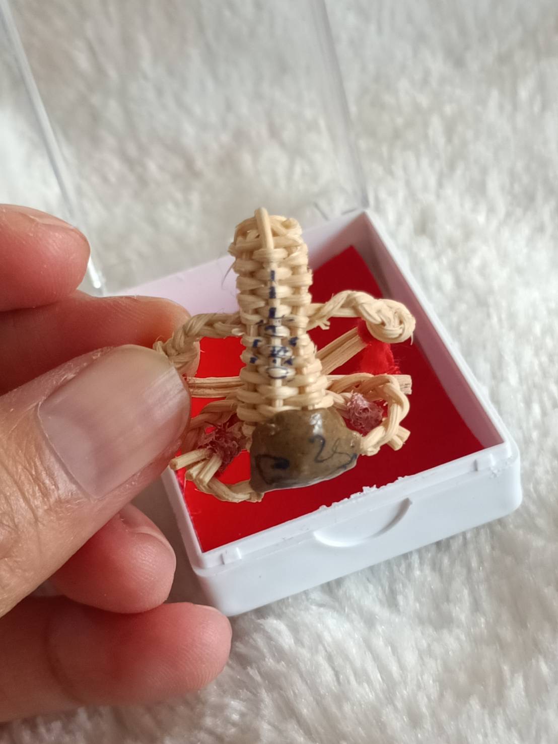 เซียงฆ้อง ปราบไพรี(พยนต์) หลวงพ่อหนุน ปราบผี/อมนุษย์เฝ้าบ้าน กันให้ ให้ลาภ ปี 68 ออกวัดป่าสามัคคีโนนกุด