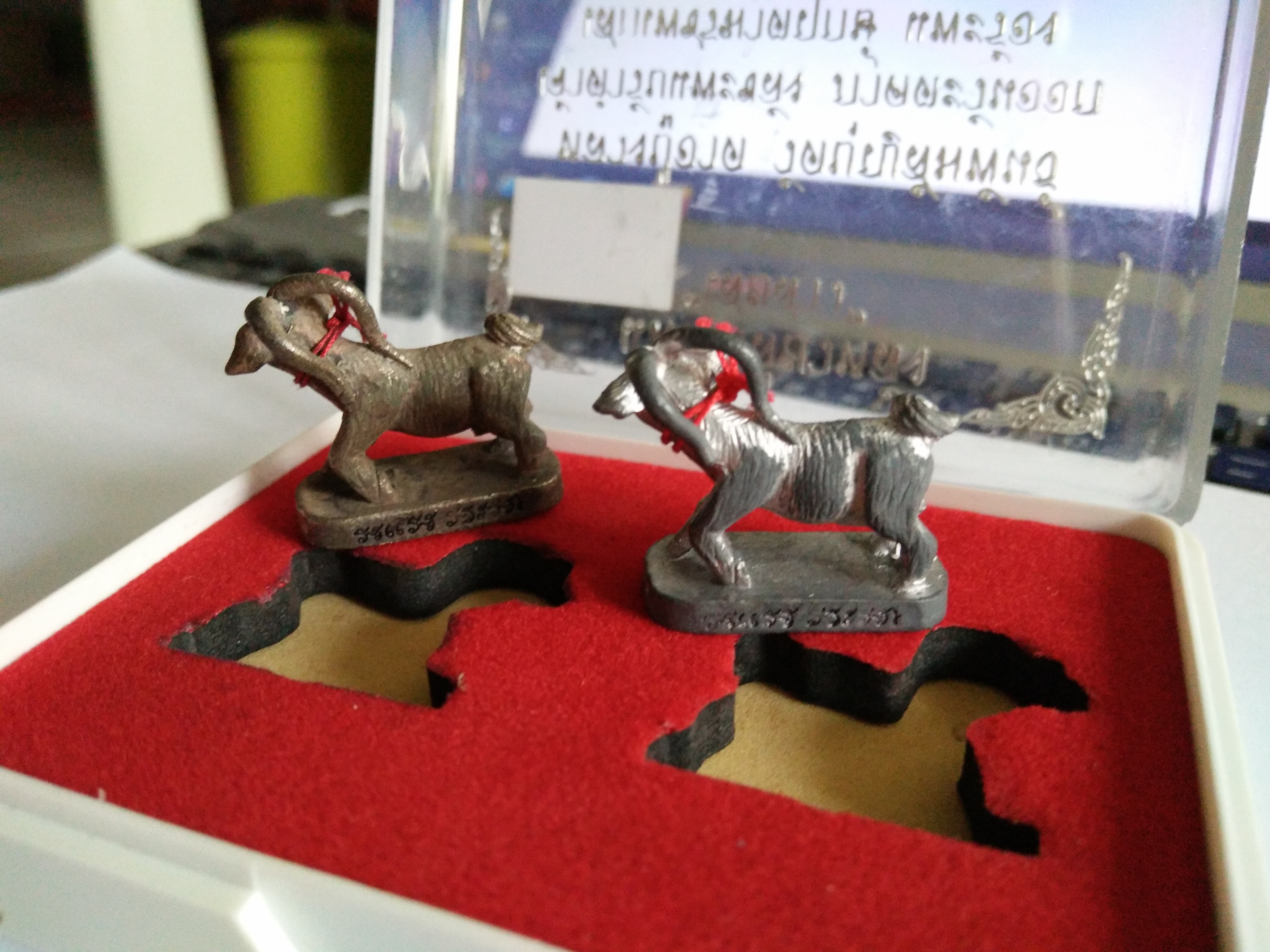 แพะเสยสาว เนื้อนวโลหะ ตะกั่ว คล้องตะกรุดทองคำ ลป.อาด วัดบุญสัมพันธ์ ชุดกรรมการ 2