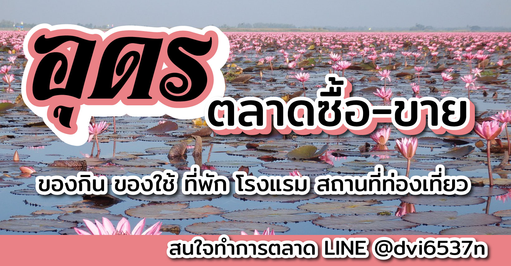 ตลาด อุดร ซื้อ ขาย ส่ง ปลีก มือหนึ่ง มือสอง หาตัวแทน ของกิน ของใช้ หอการค้า มาร์เก็ตเพลส LIVE ได้
